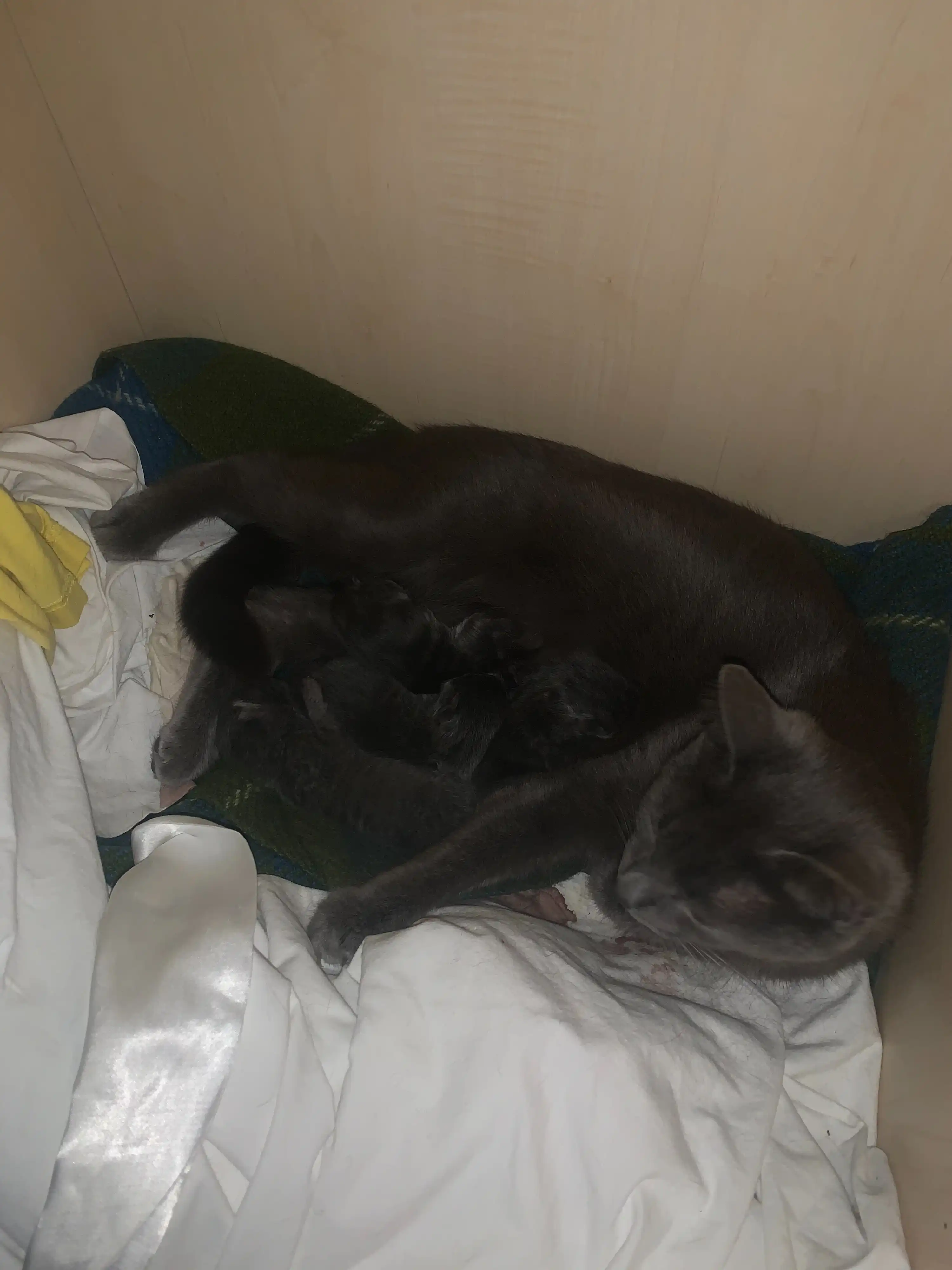 image-8