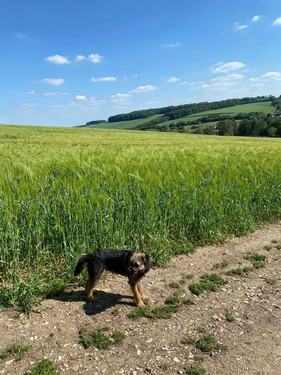 image-6