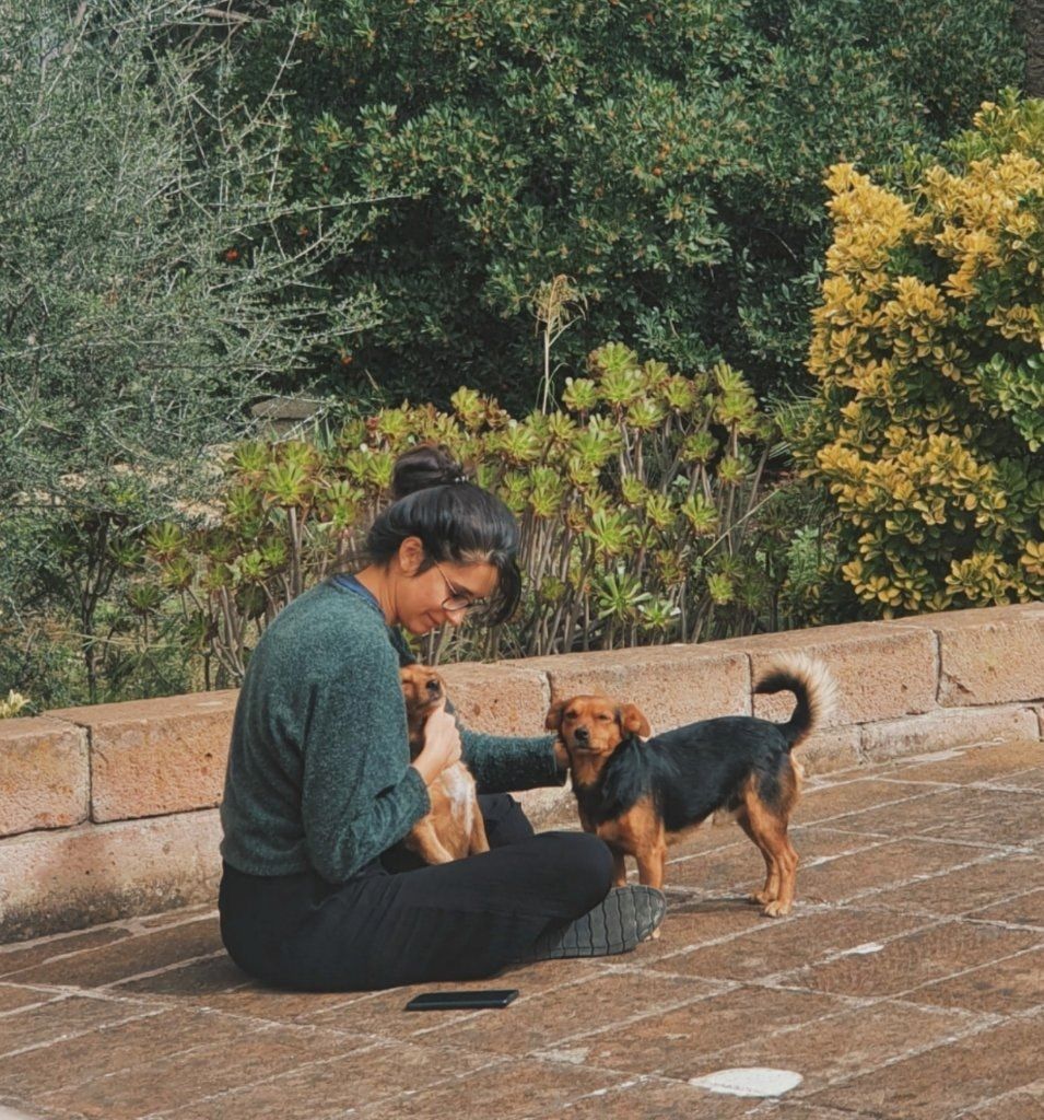 image-2