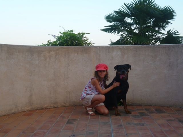 image-6