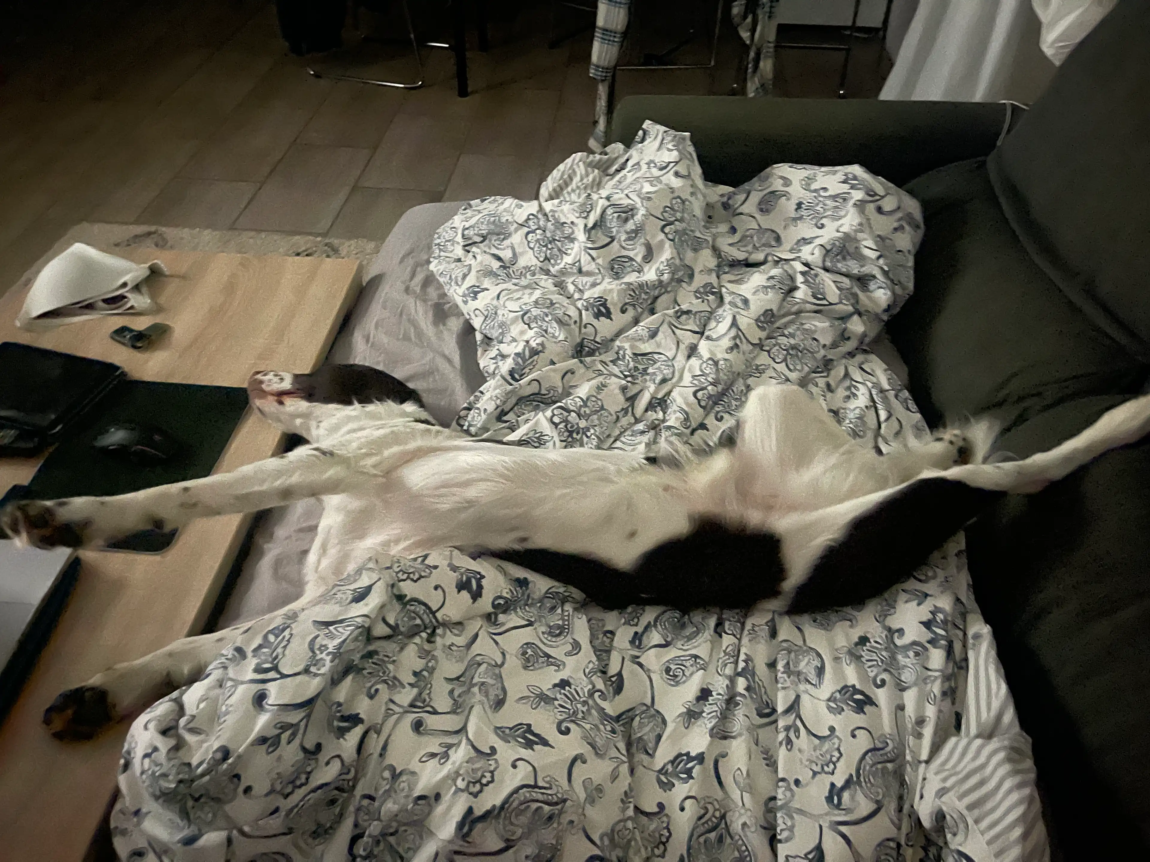 image-12