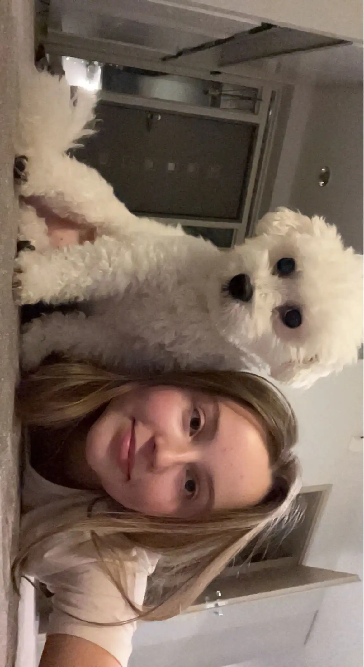 image-8