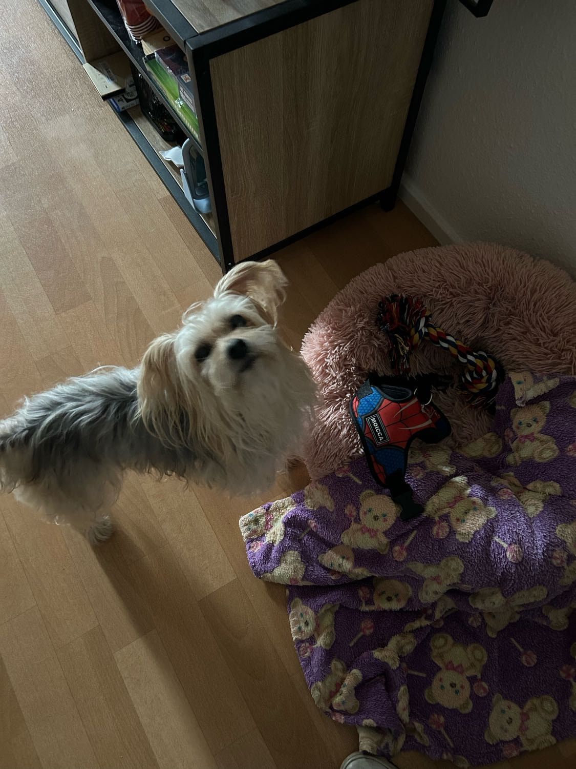 image-11