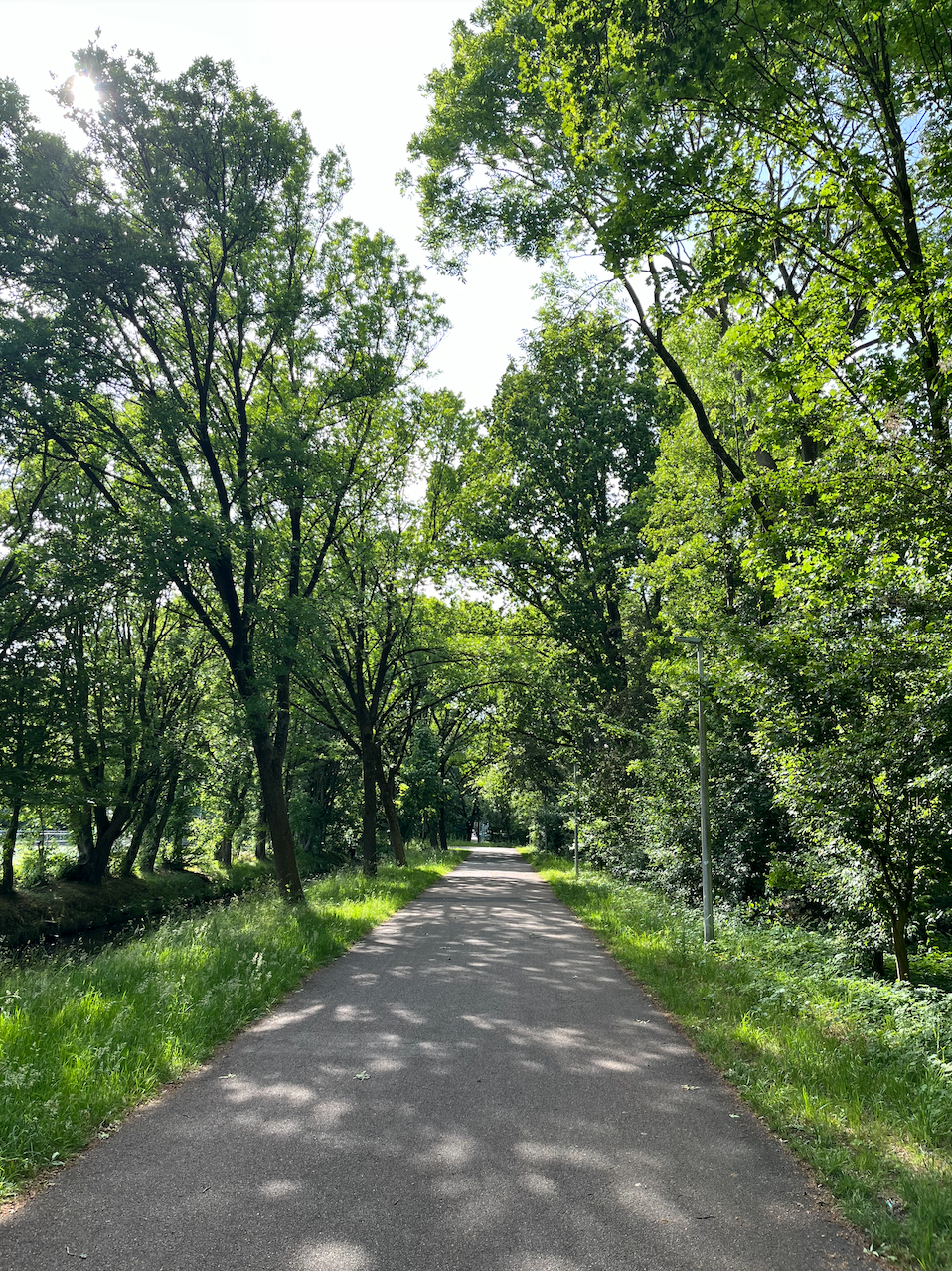 image-25