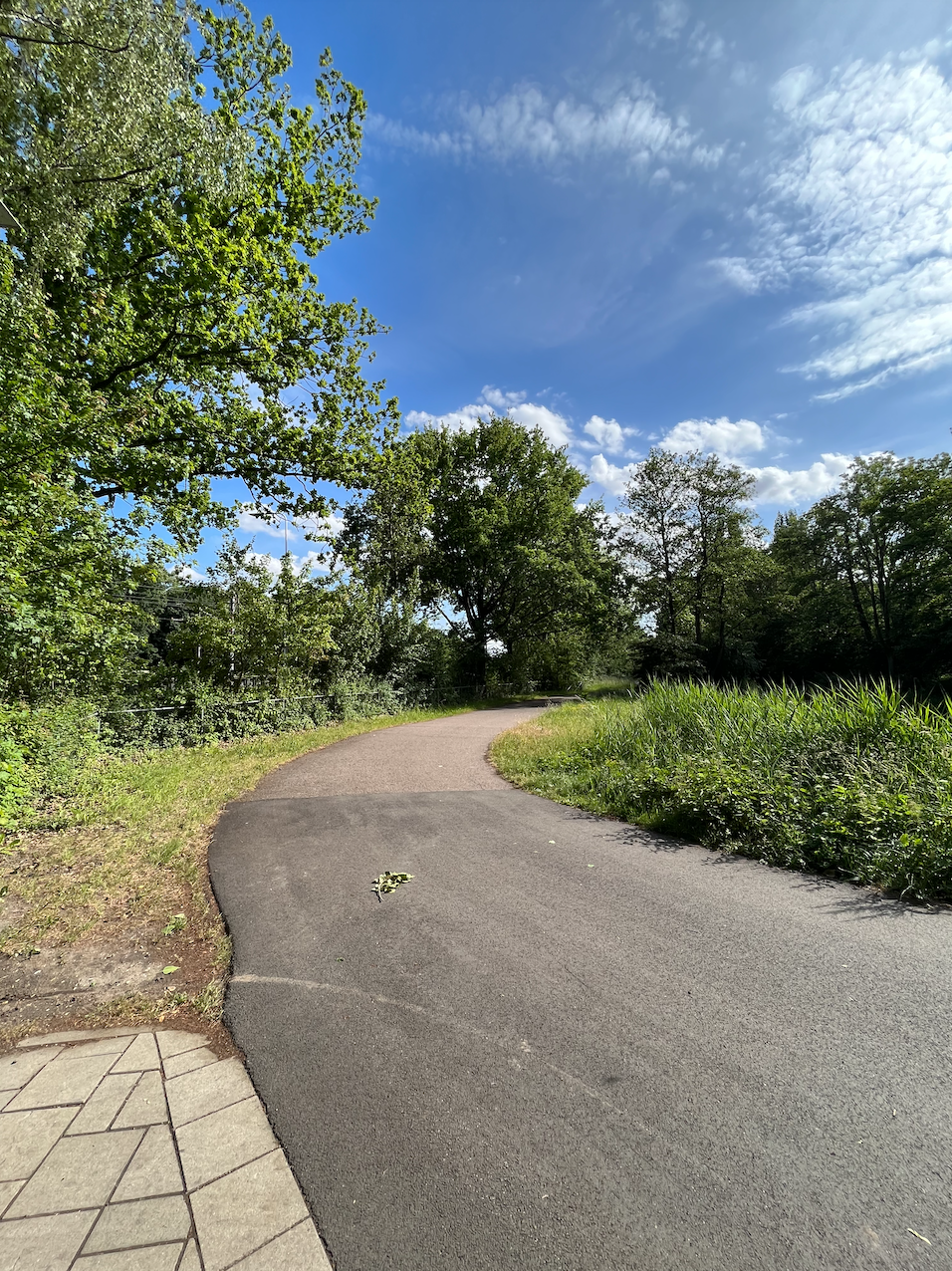 image-24