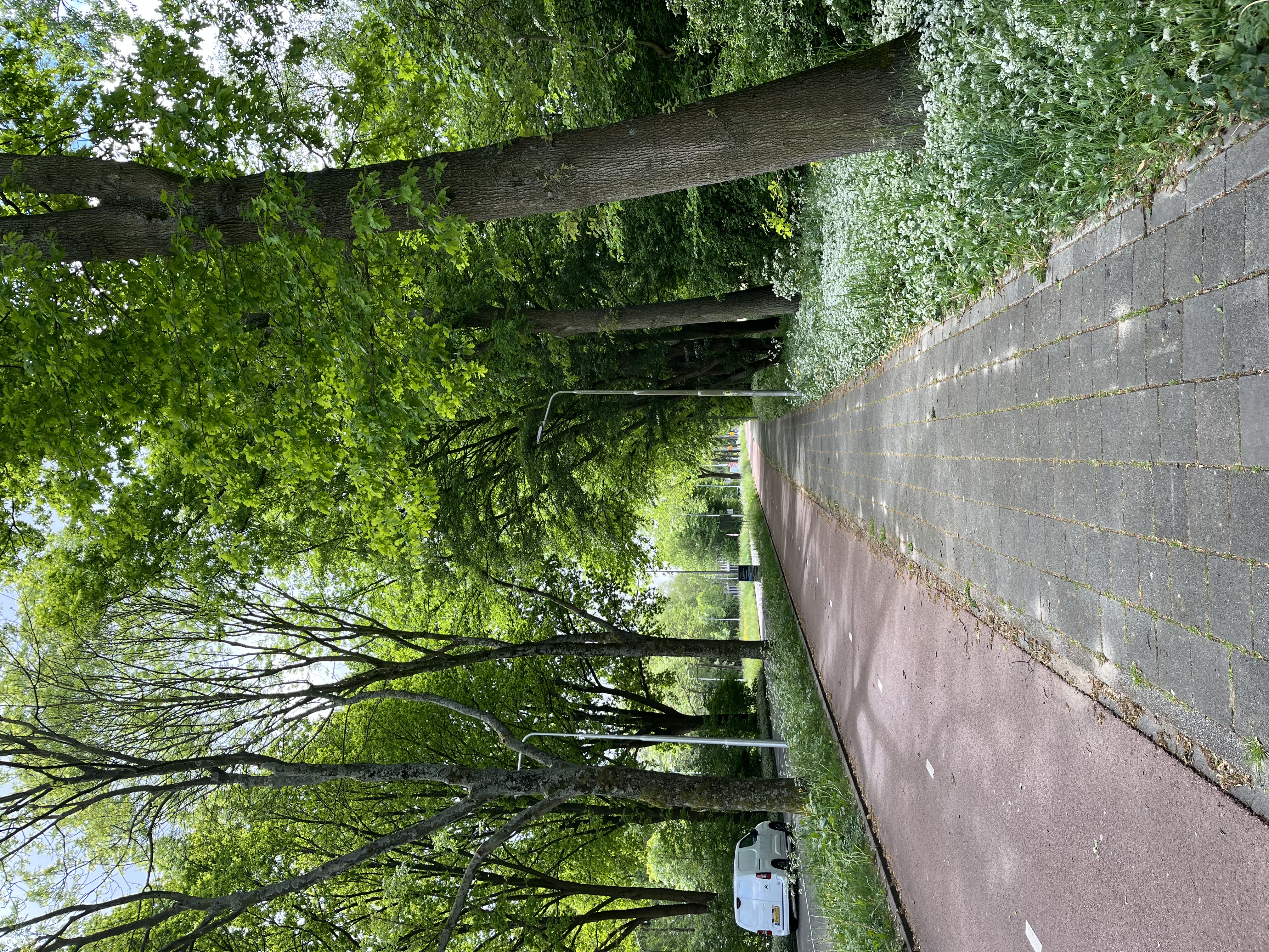 image-26