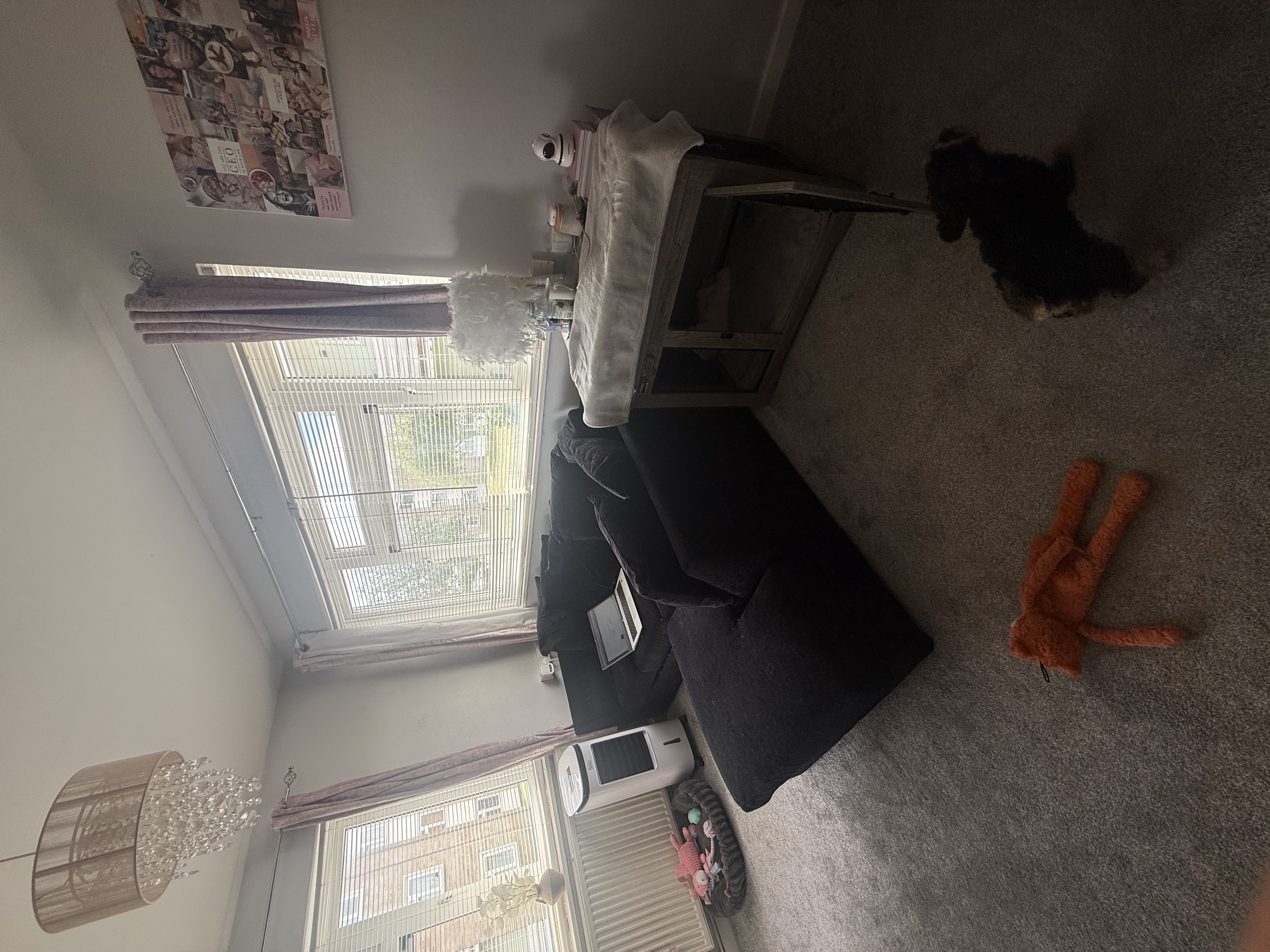 image-17