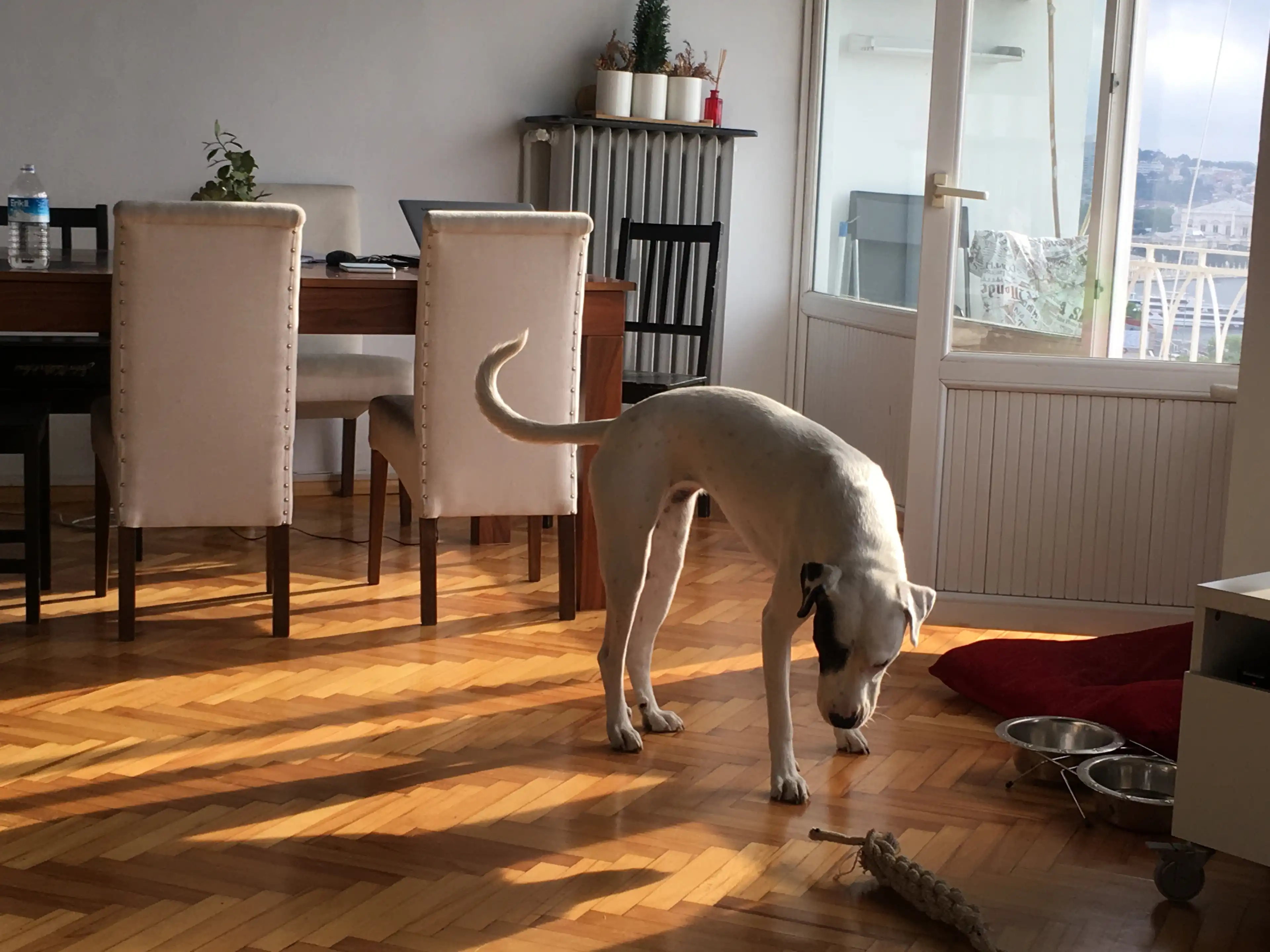 image-7