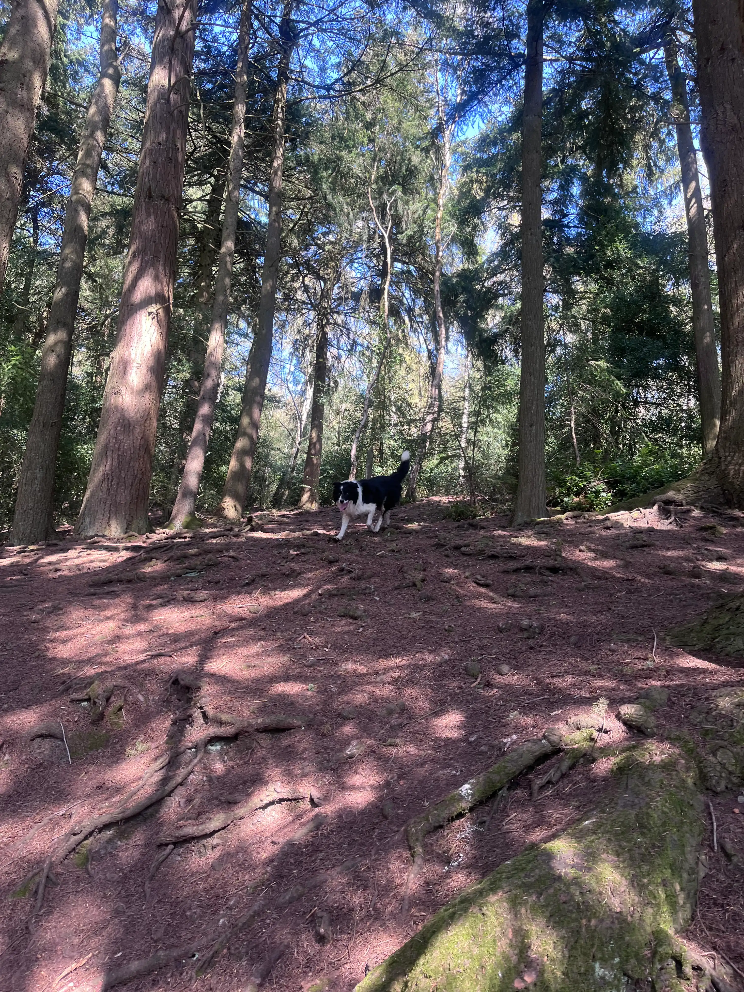 image-14