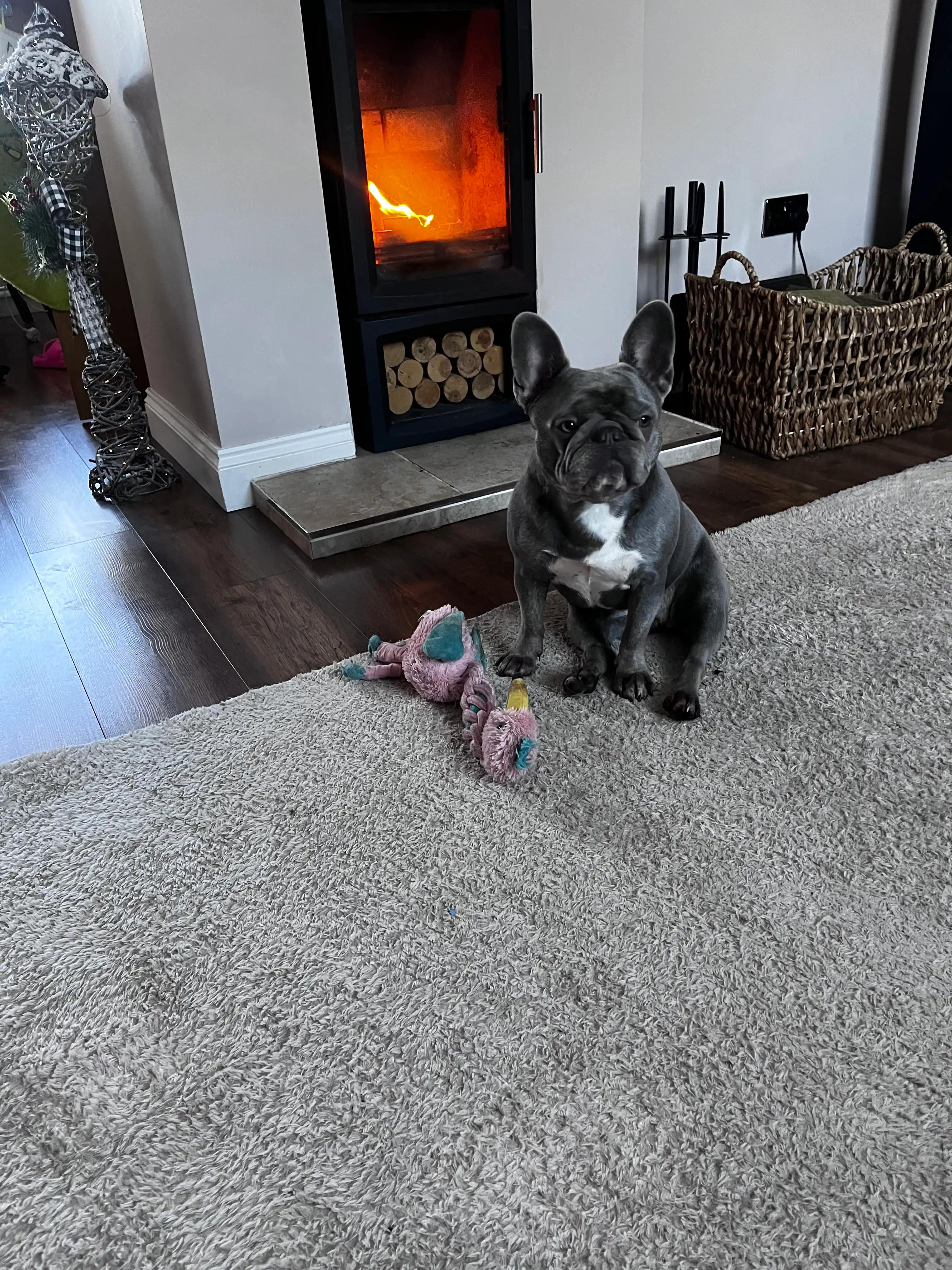 image-12