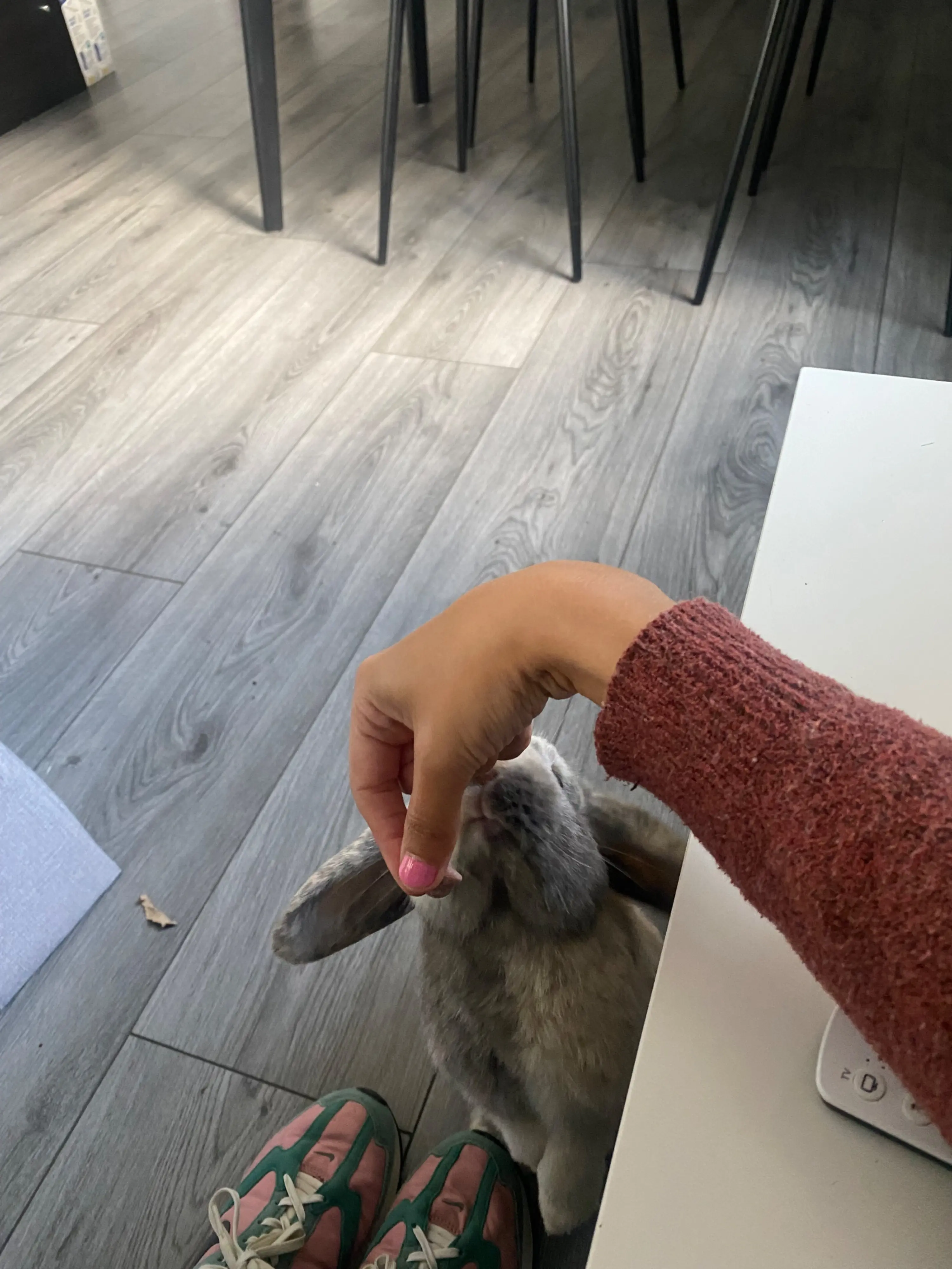 image-3