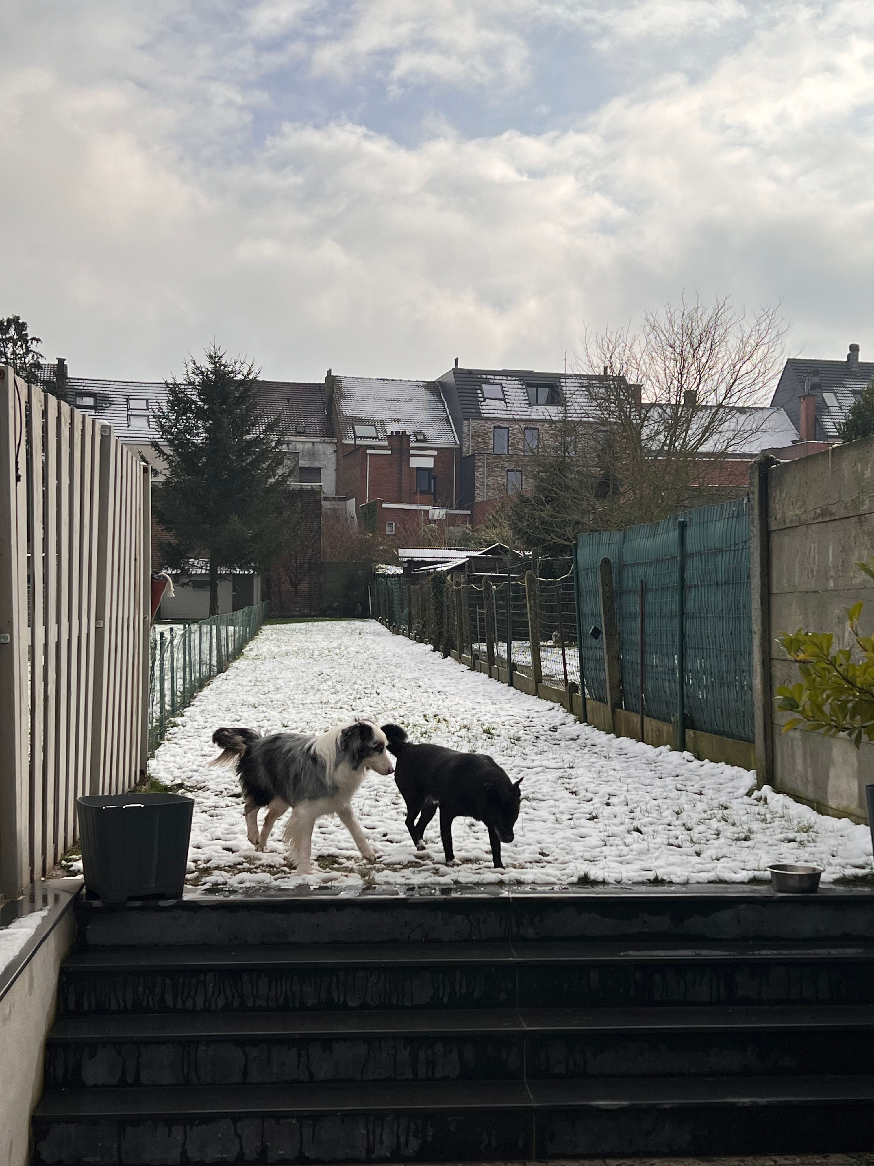 image-7