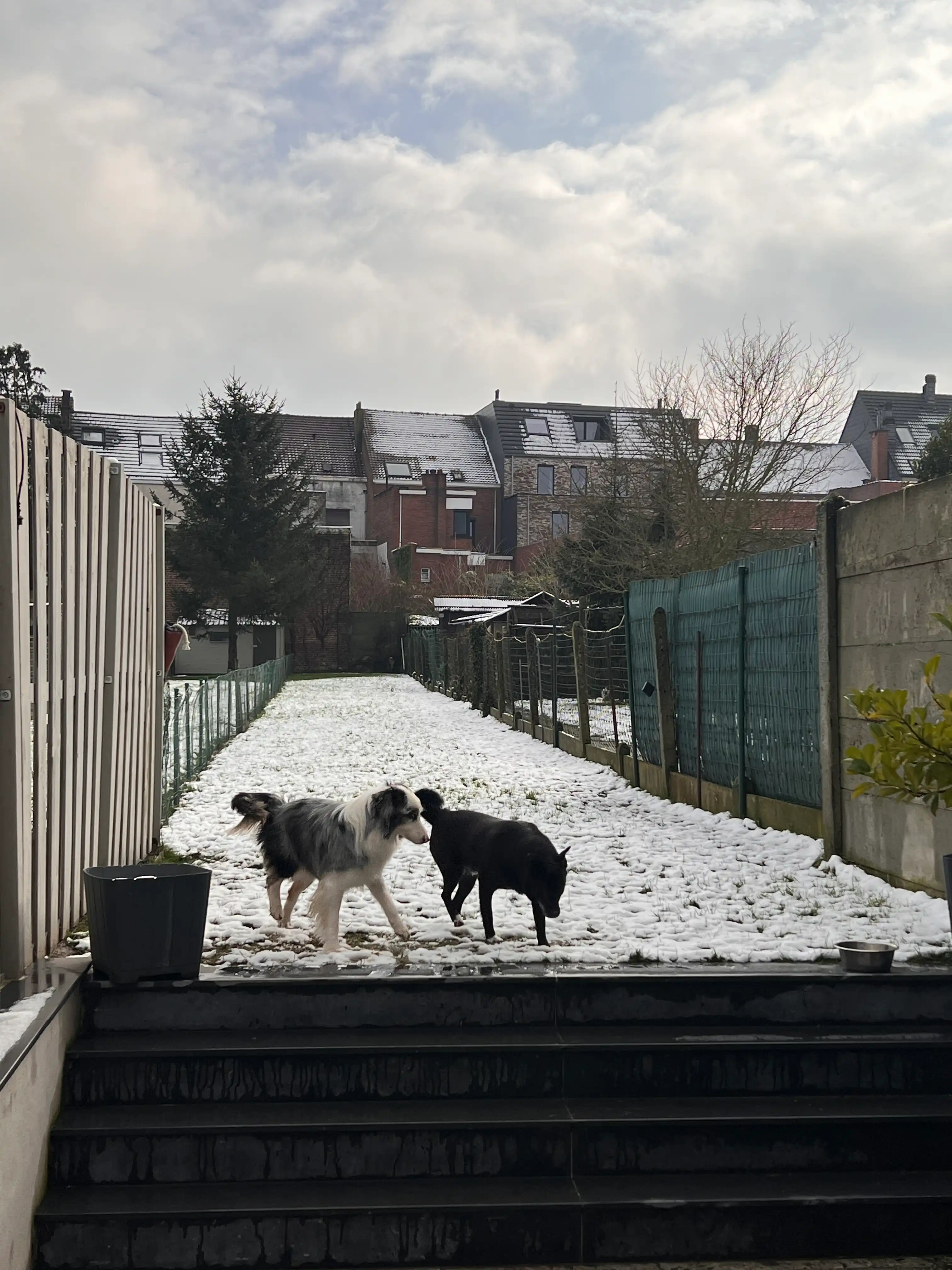image-7