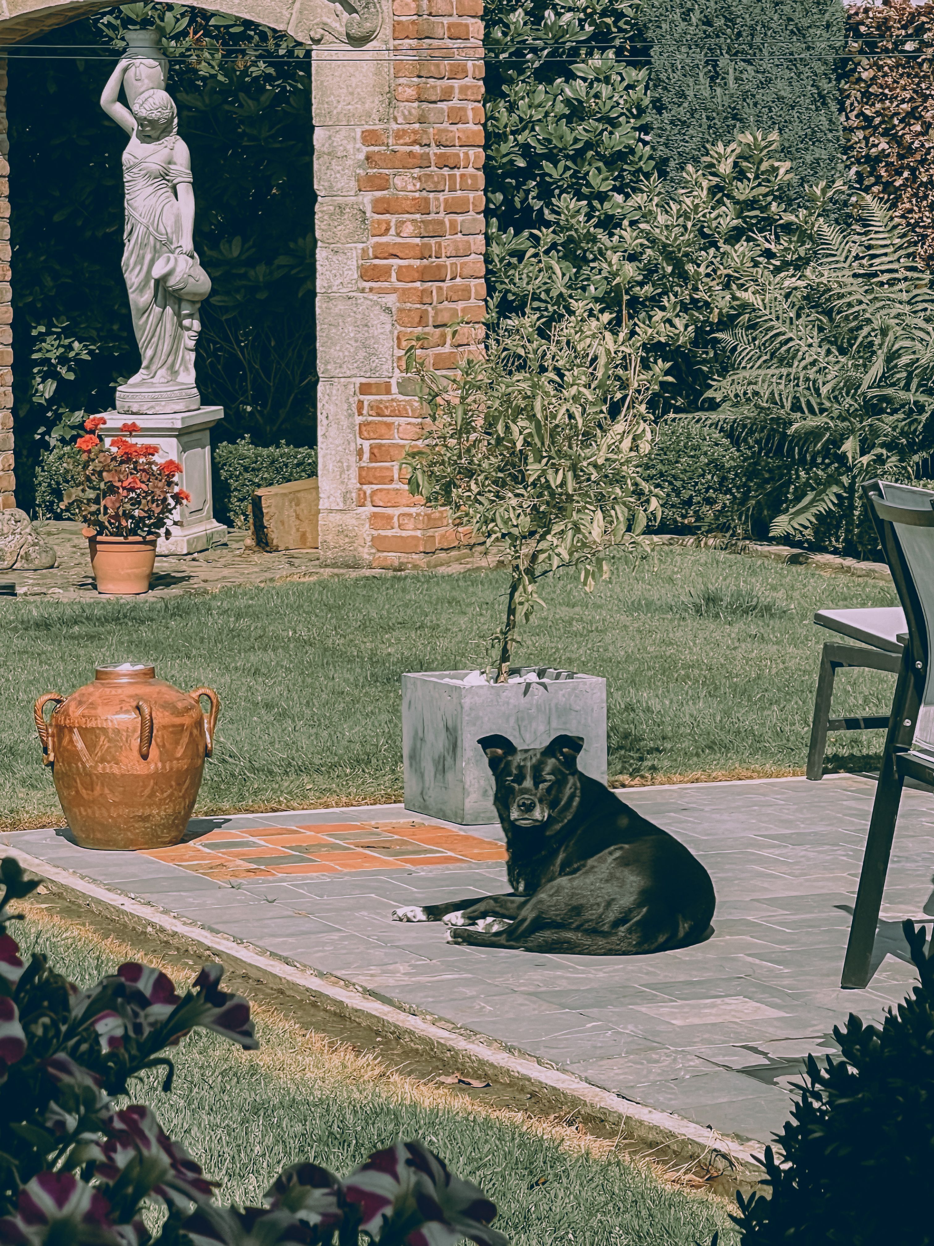image-11