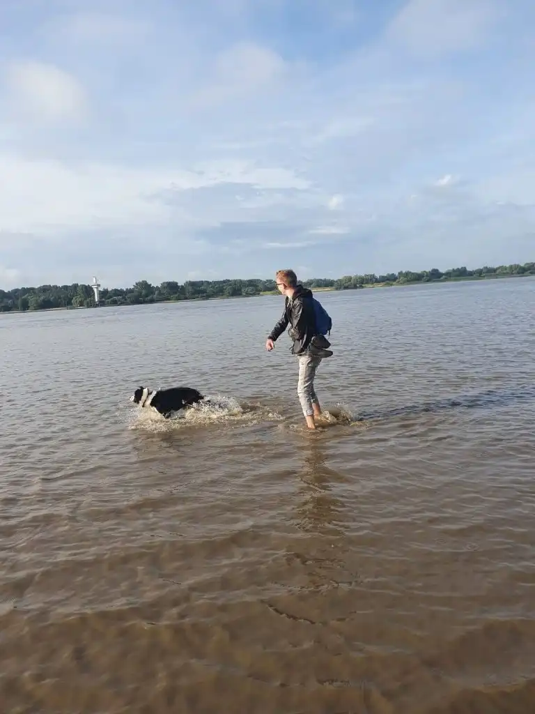 image-5