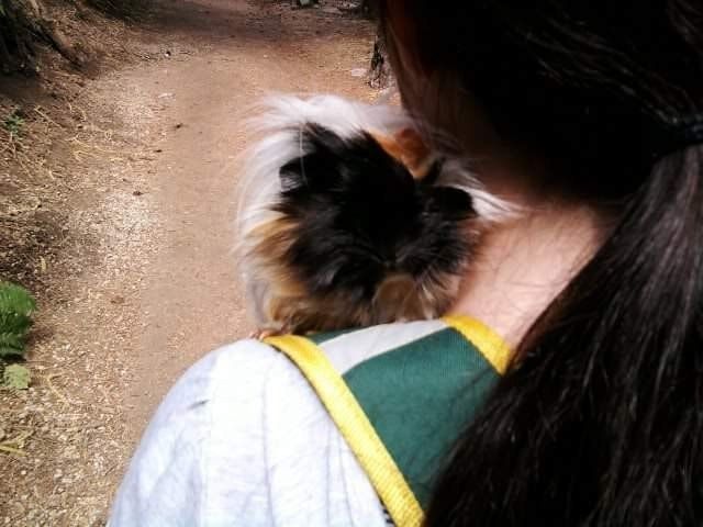 image-5