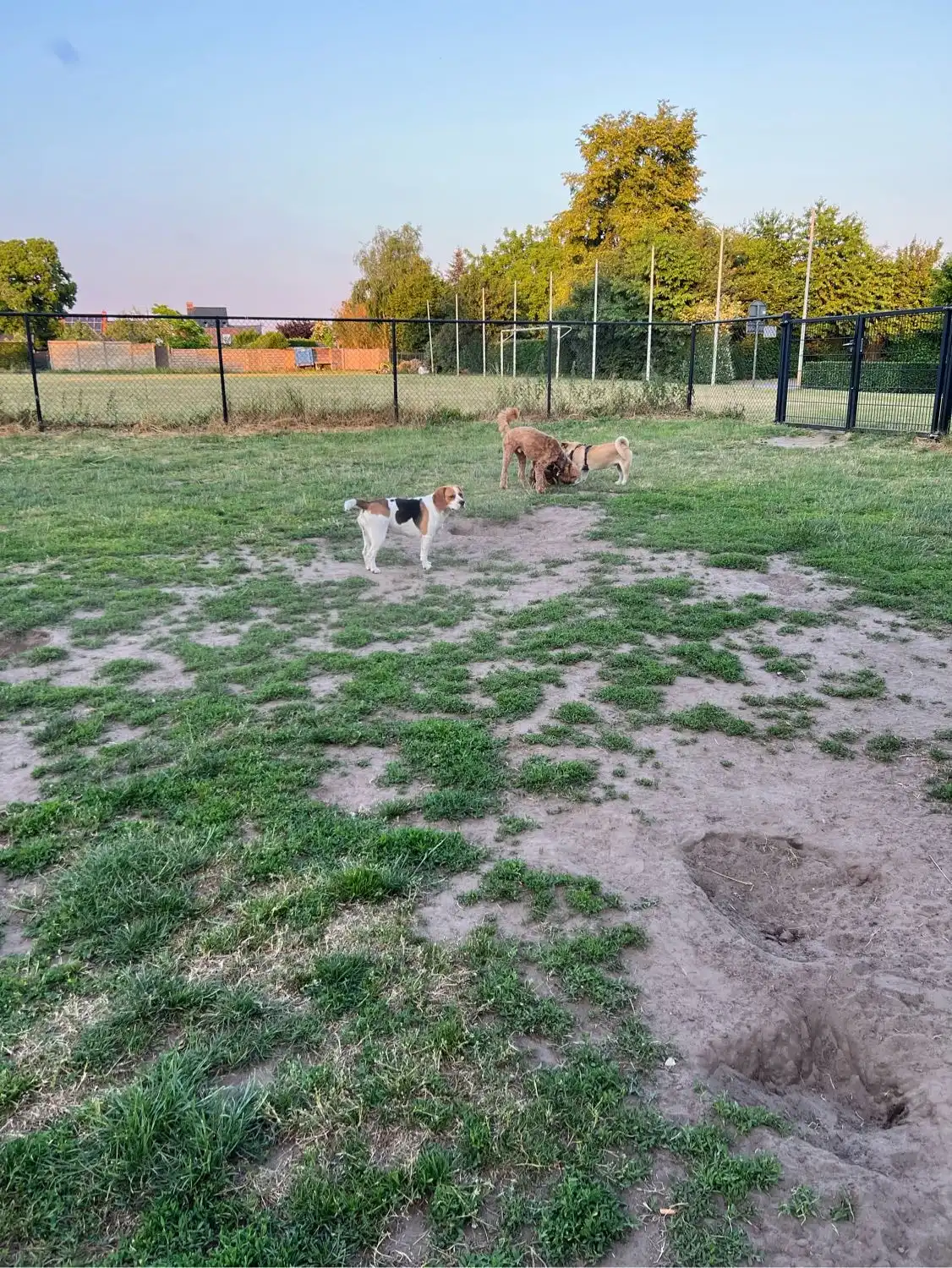 image-6