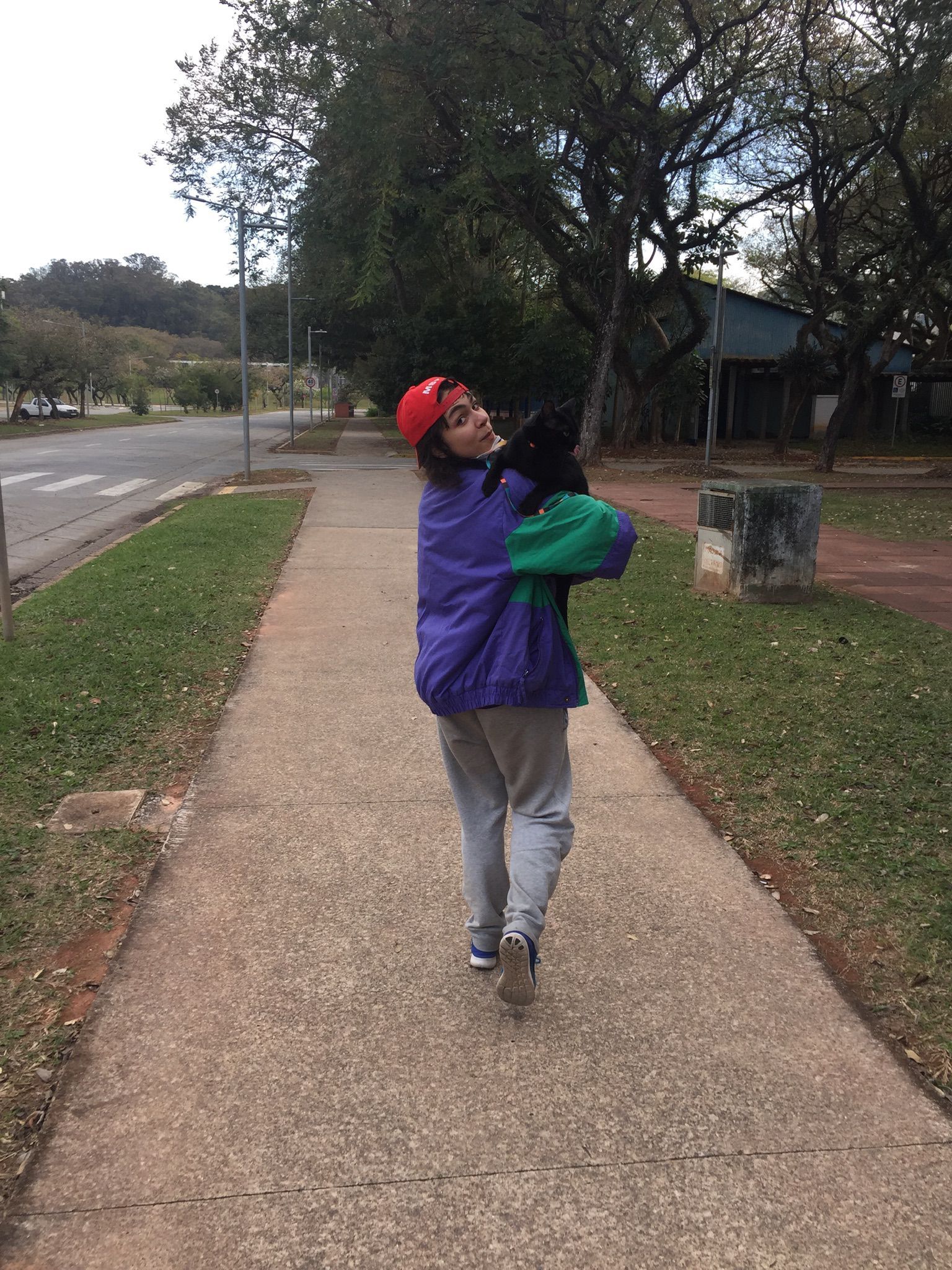 image-5