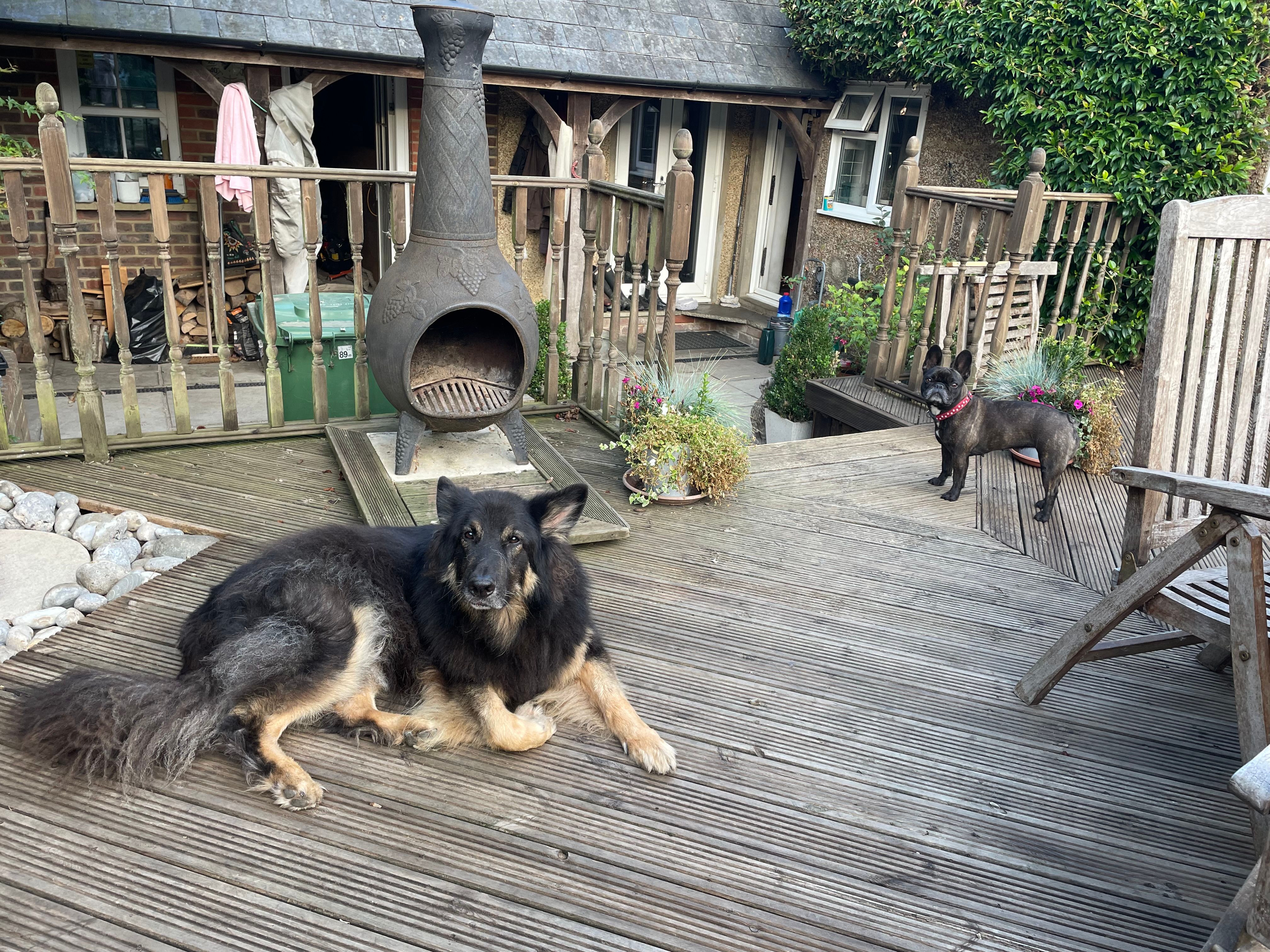 image-8