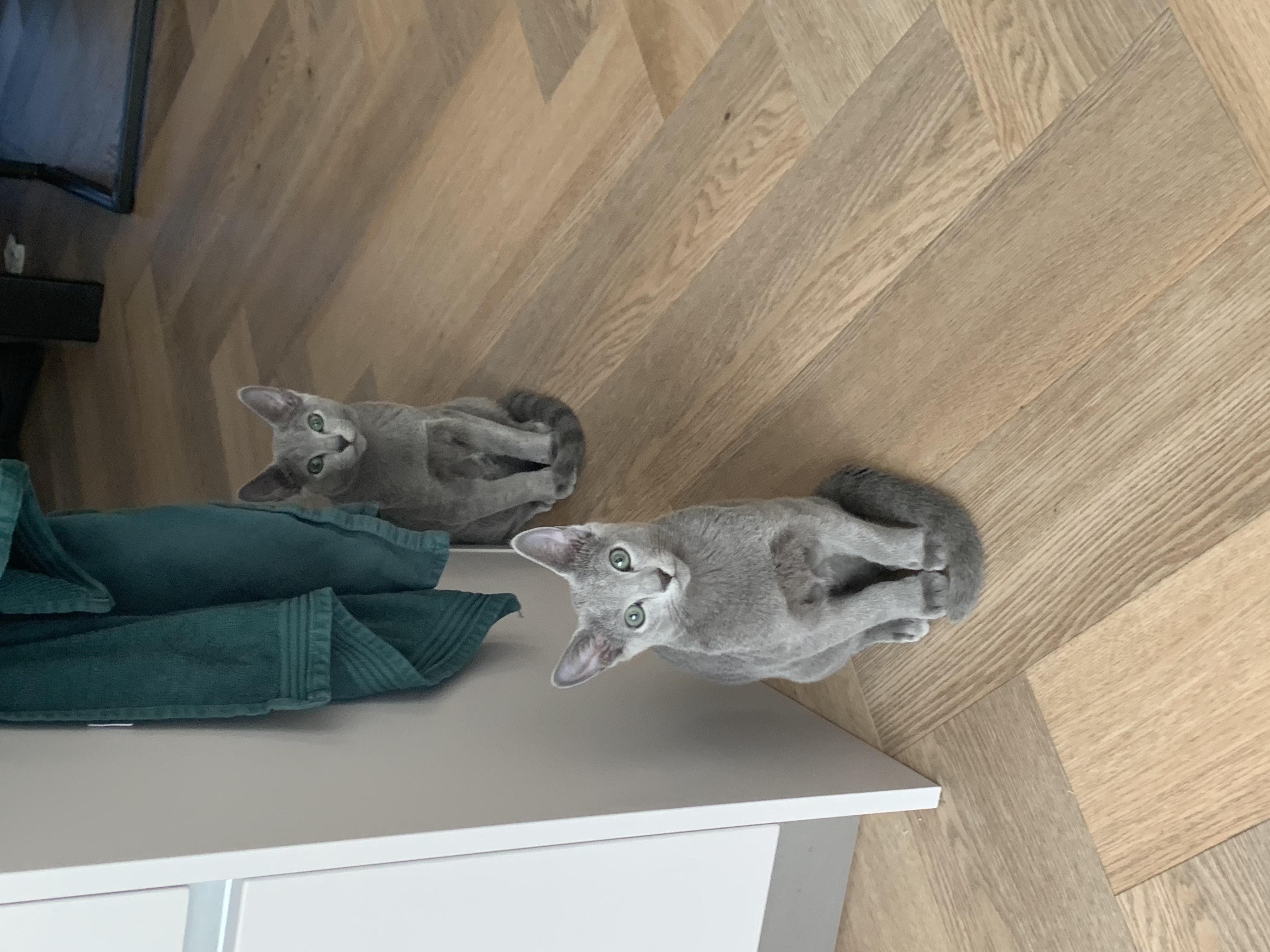image-4