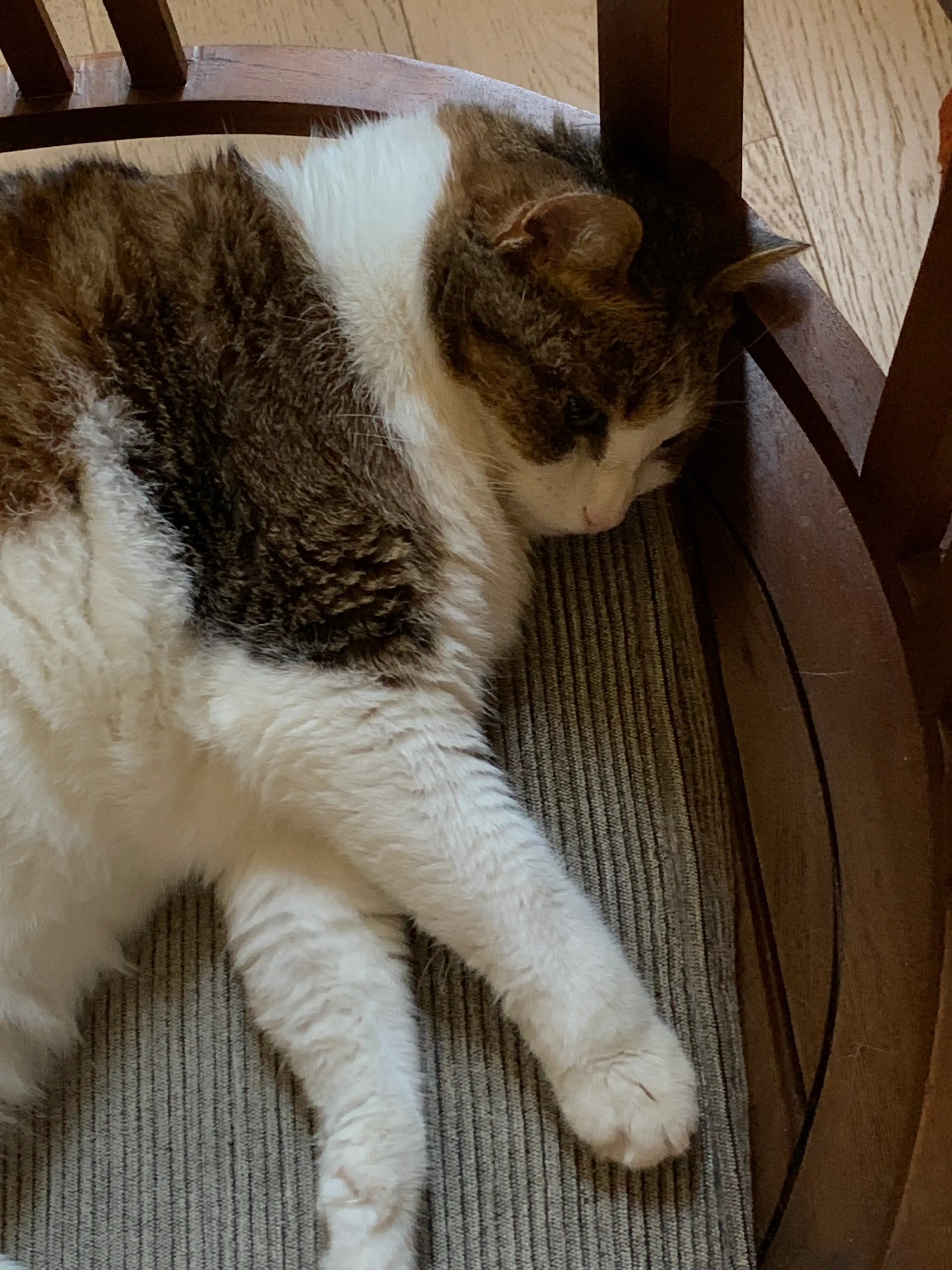image-15