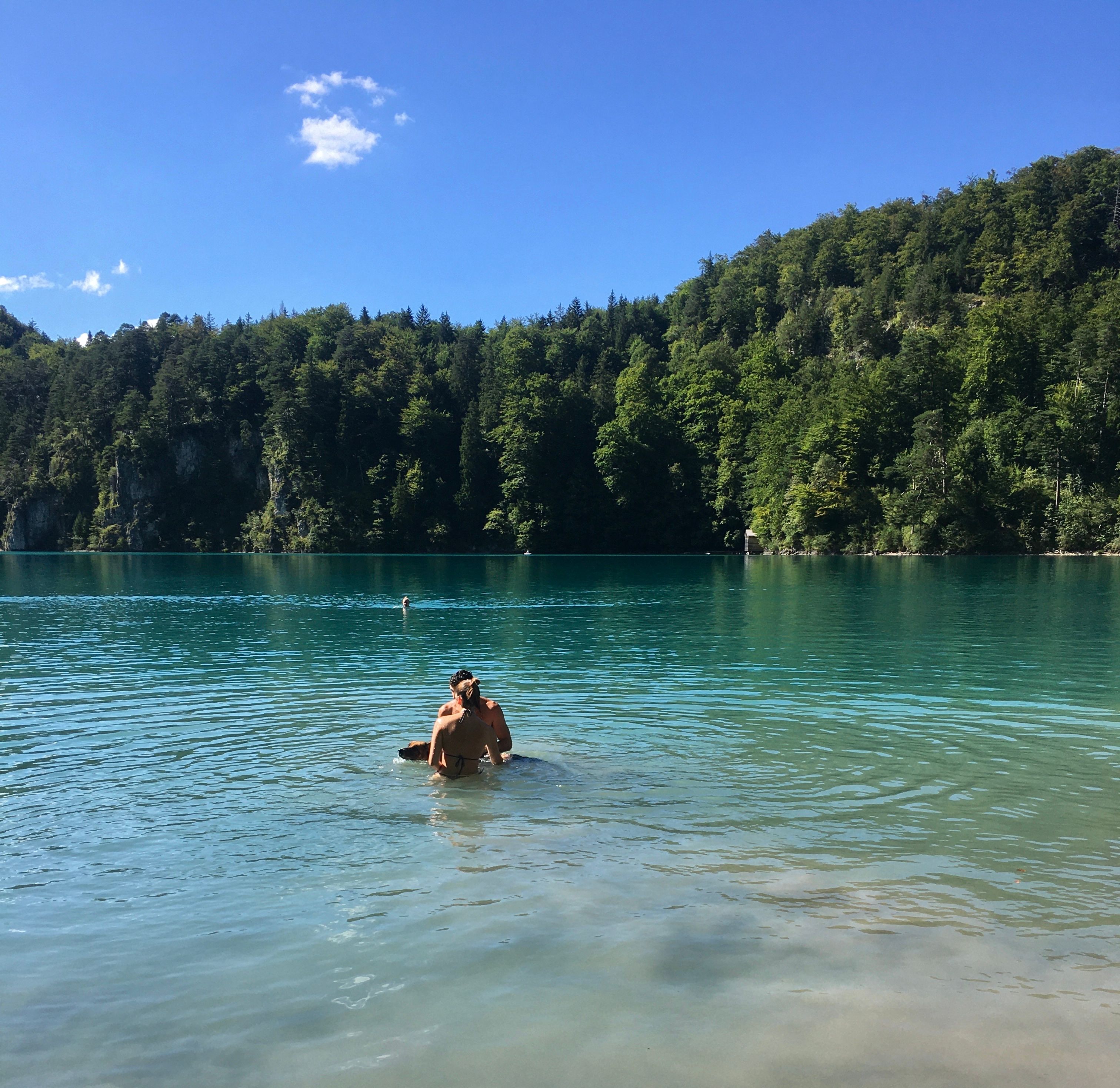 image-6
