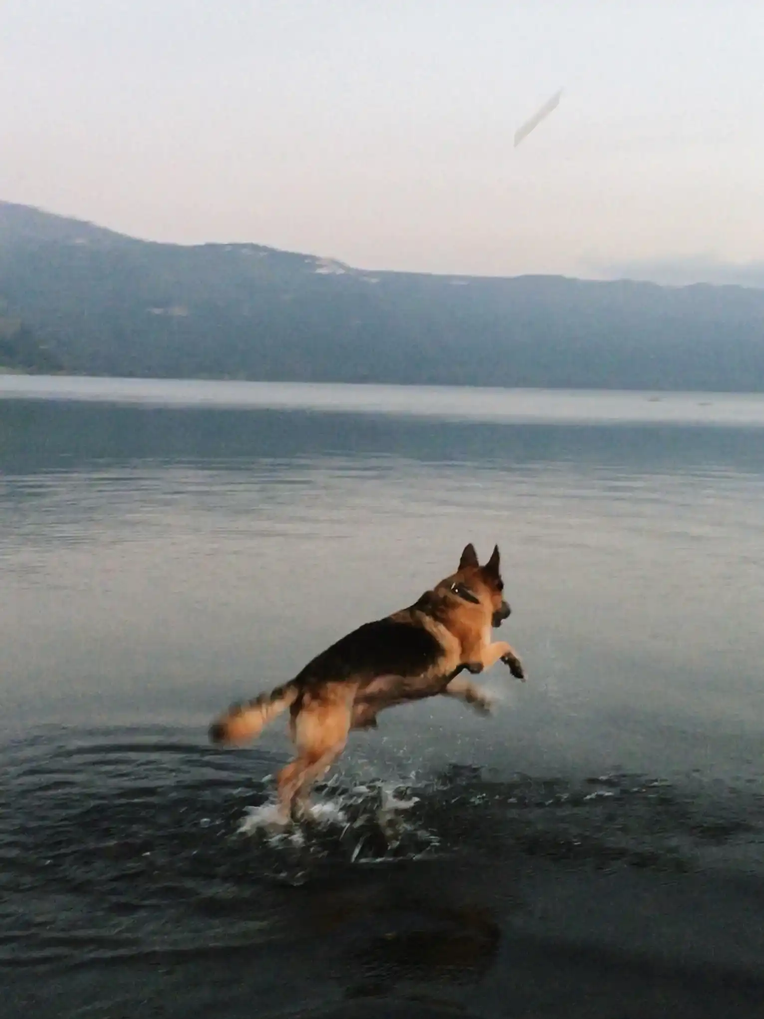 image-8