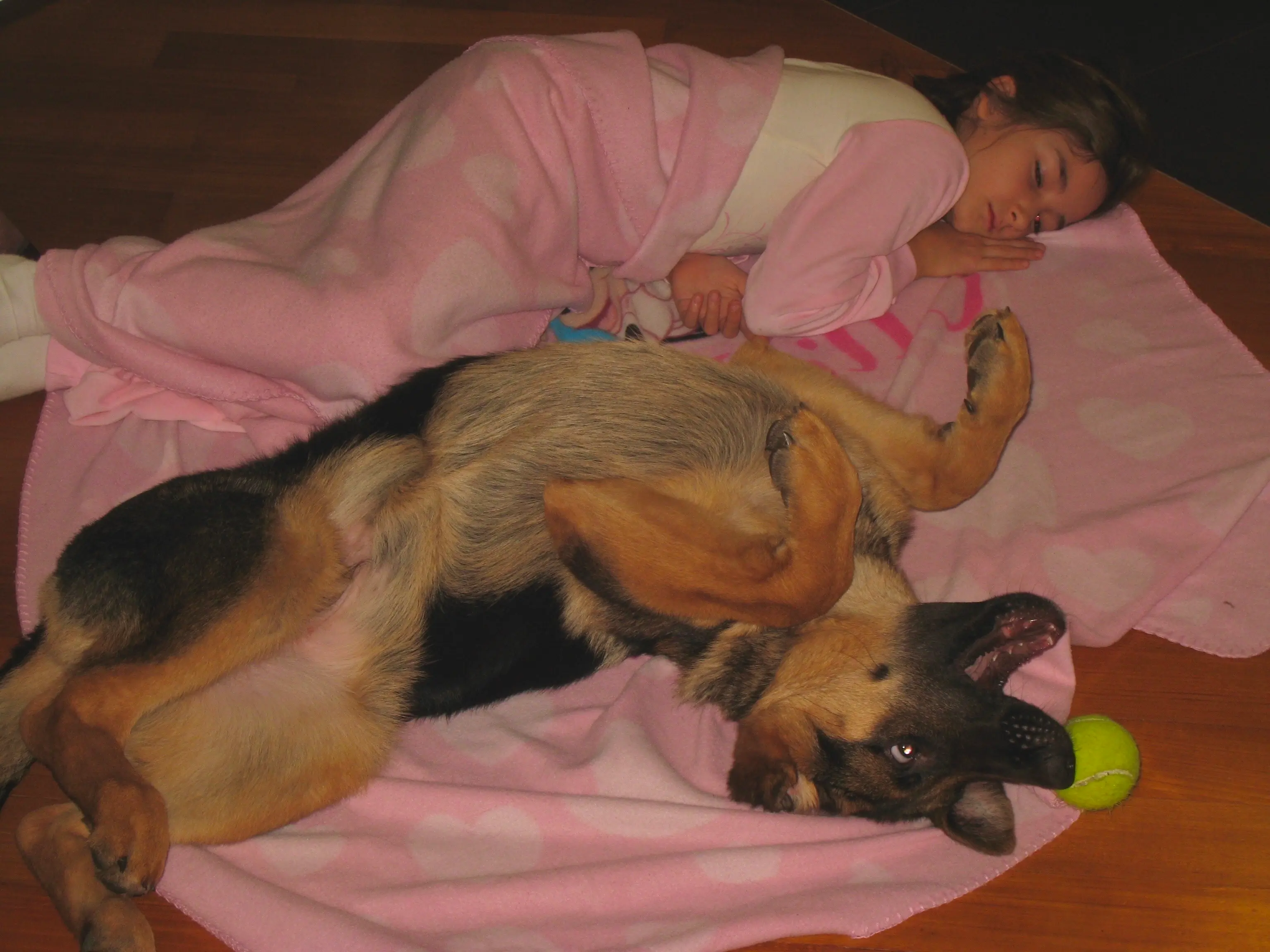 image-4