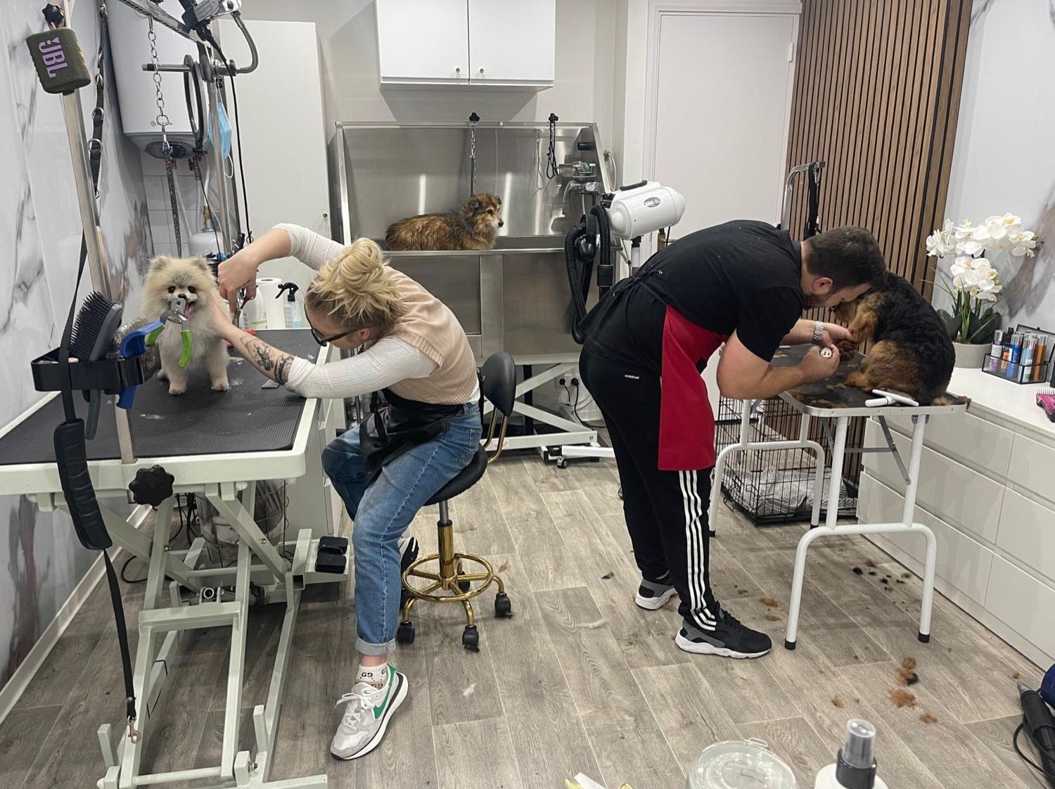 image-10