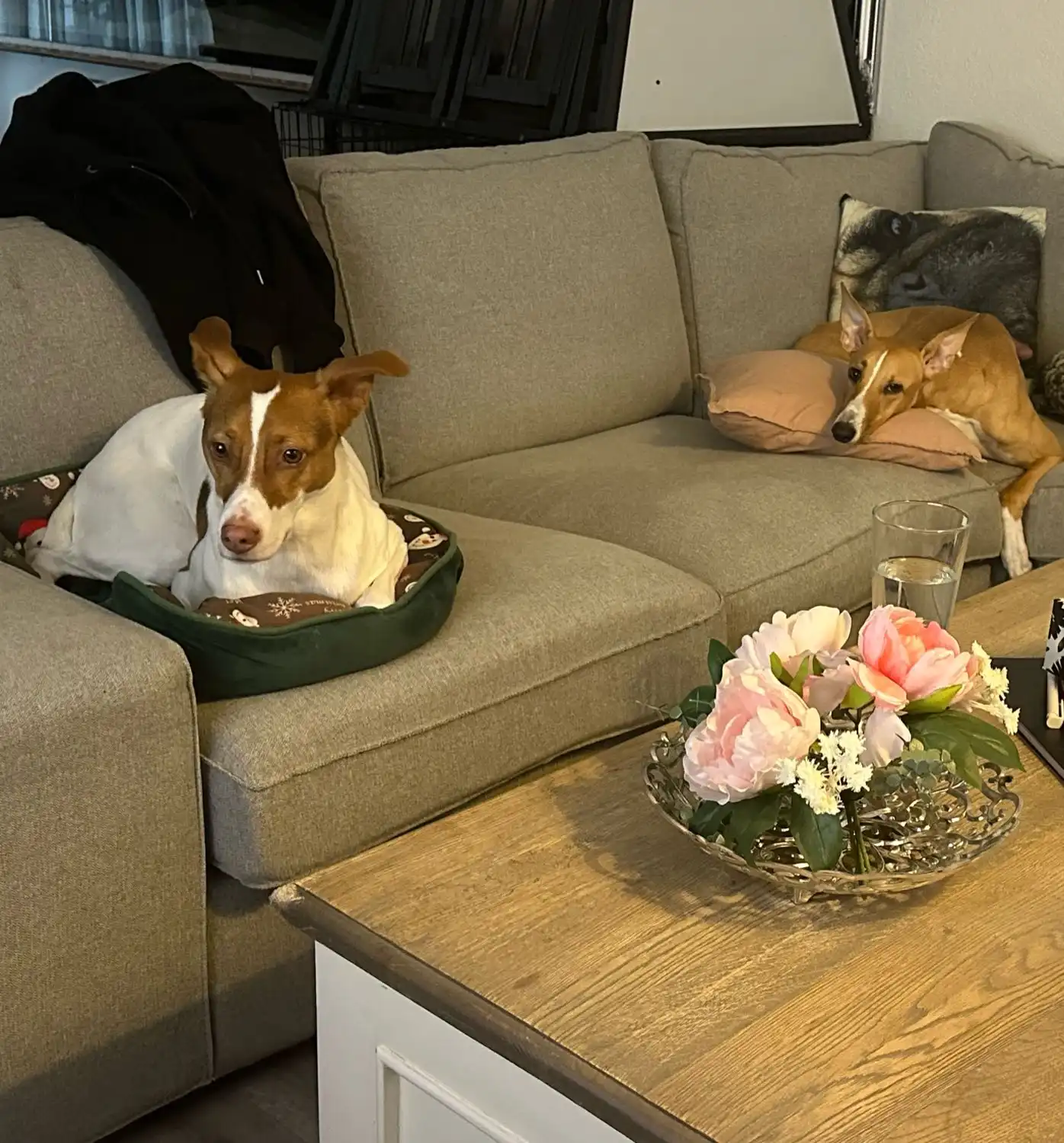 image-14