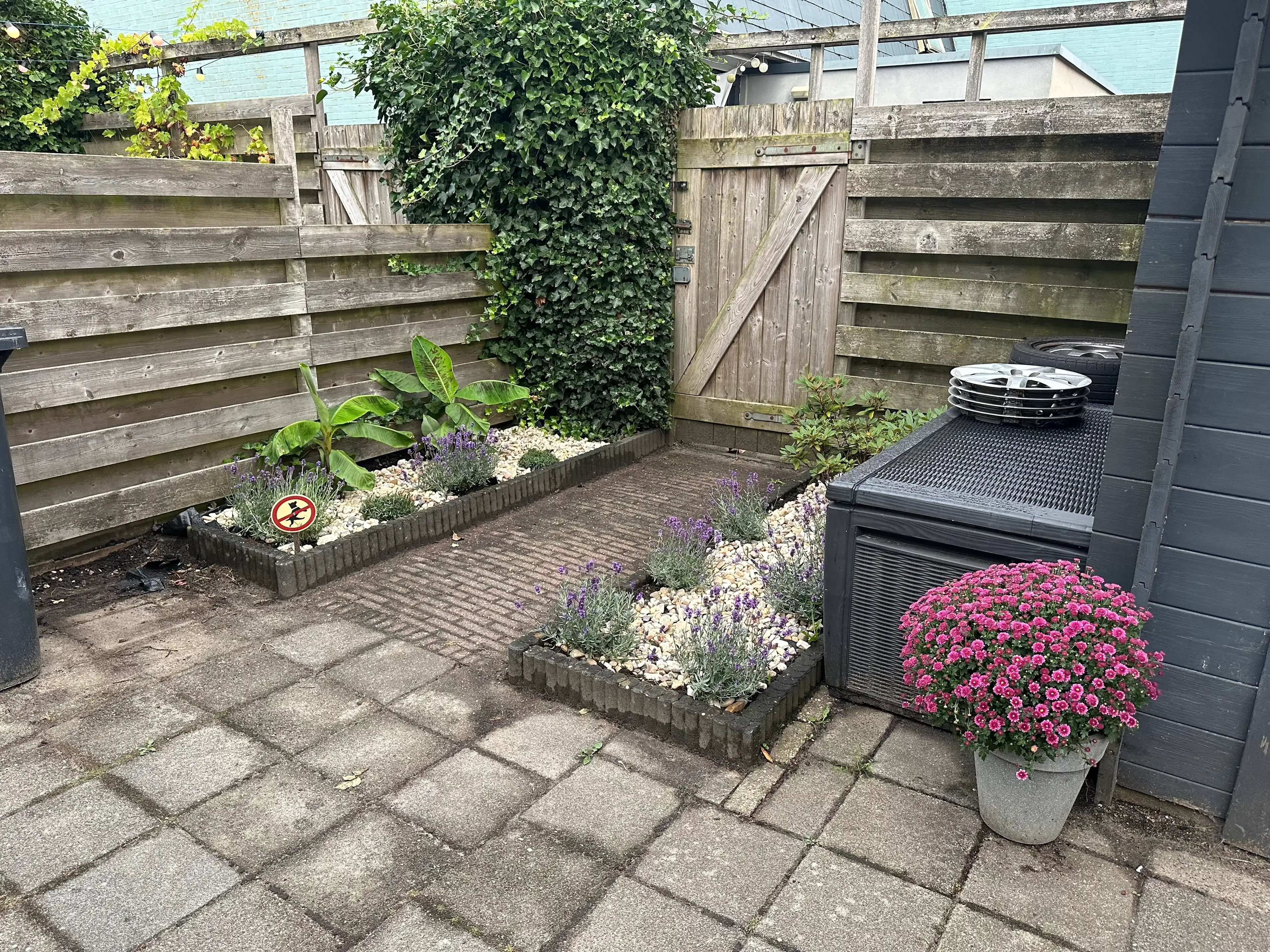 image-34