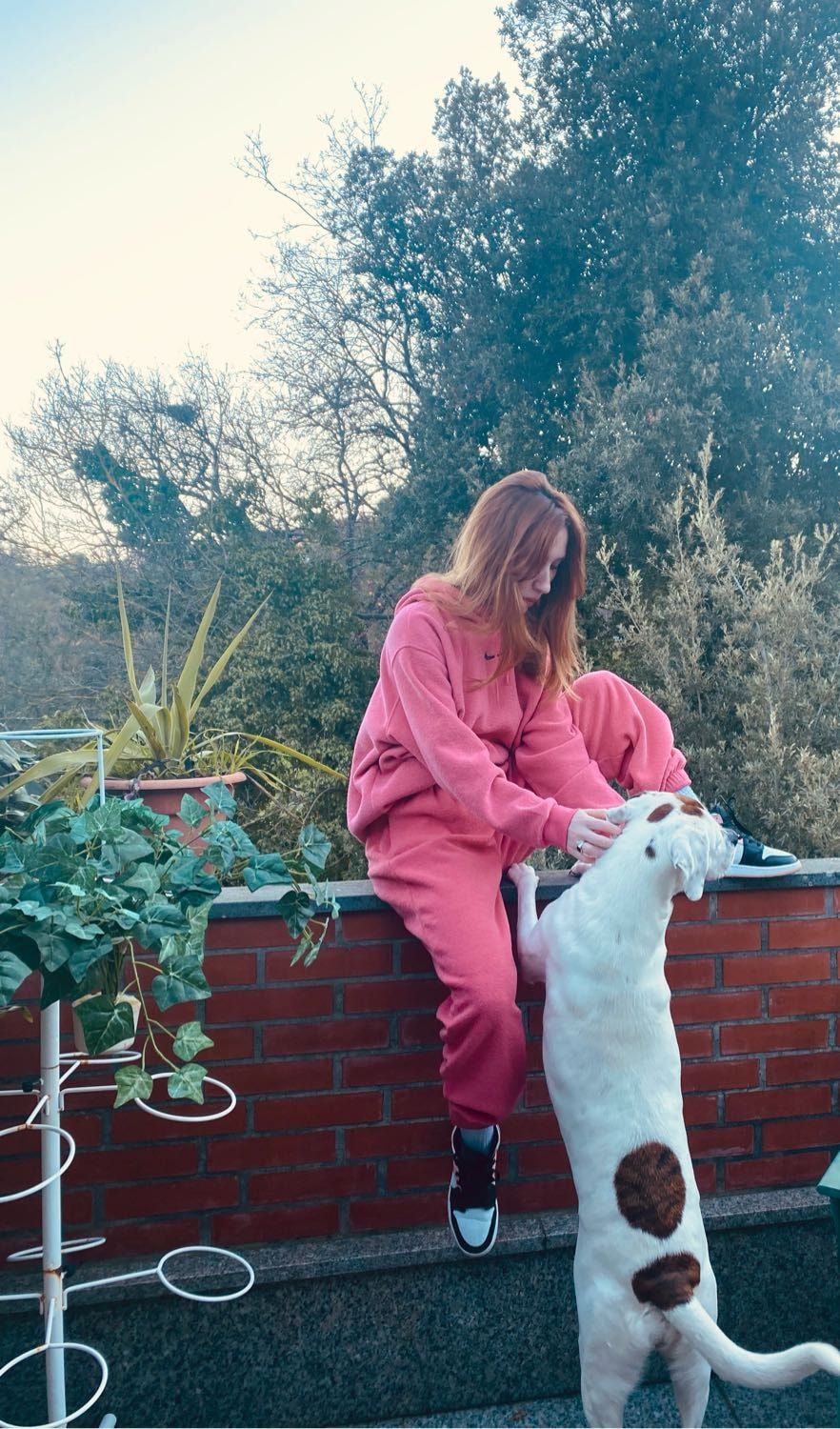 image-7