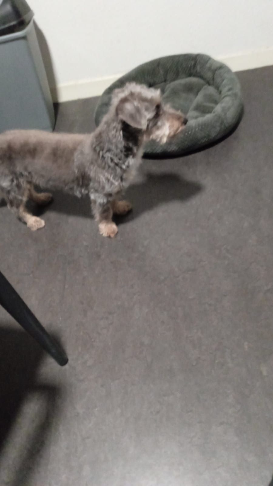 image-8