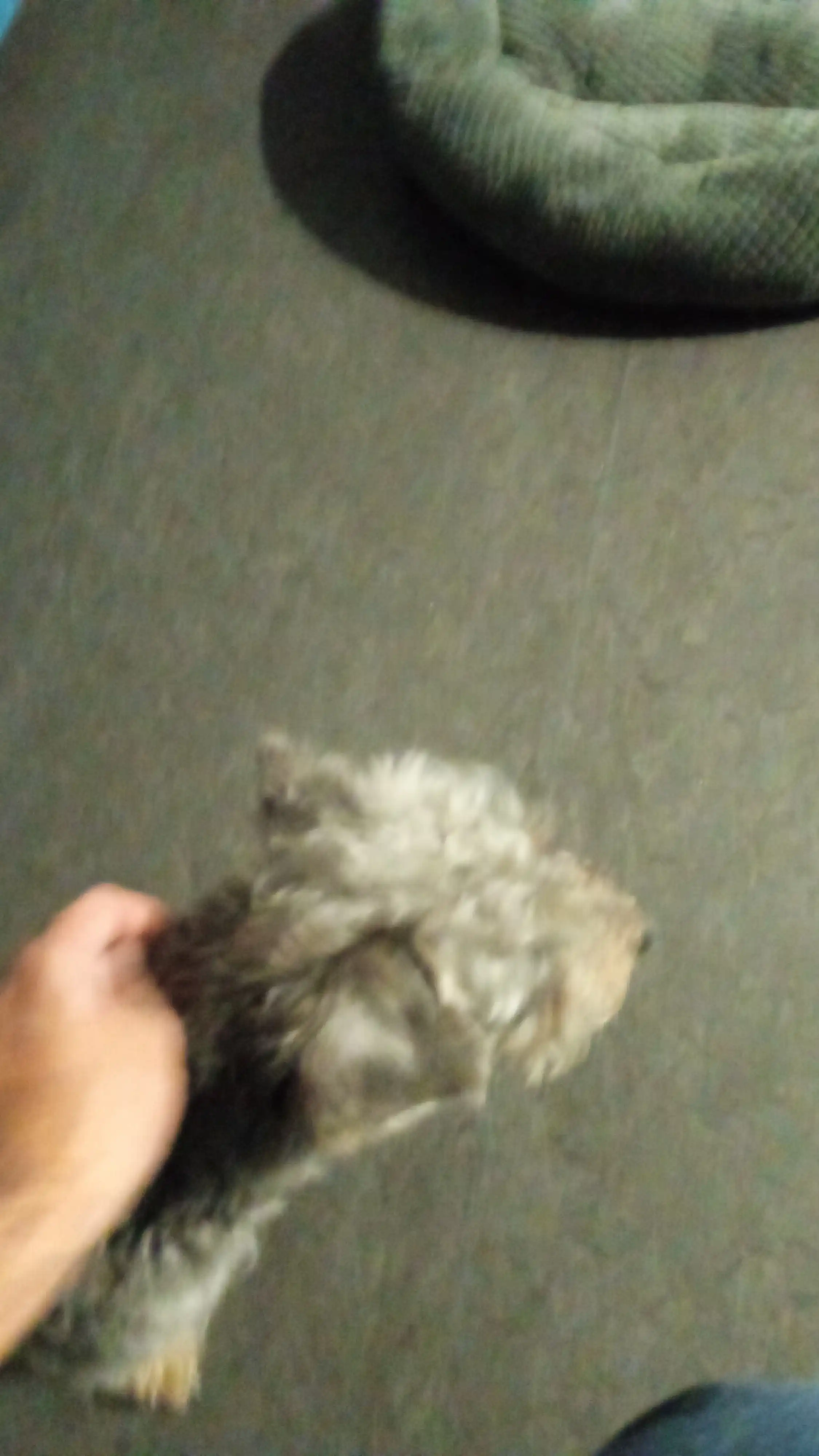 image-9
