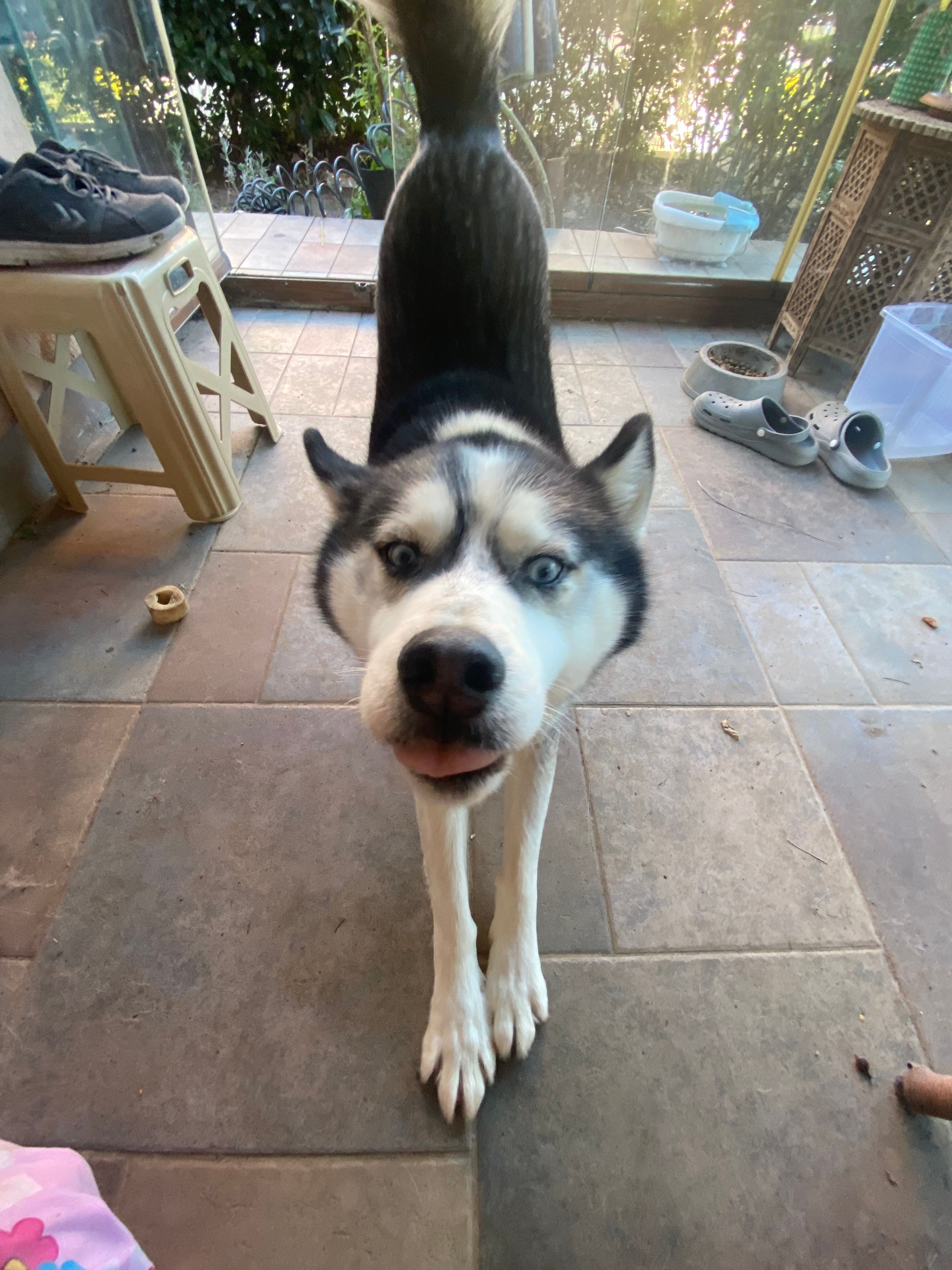 image-10