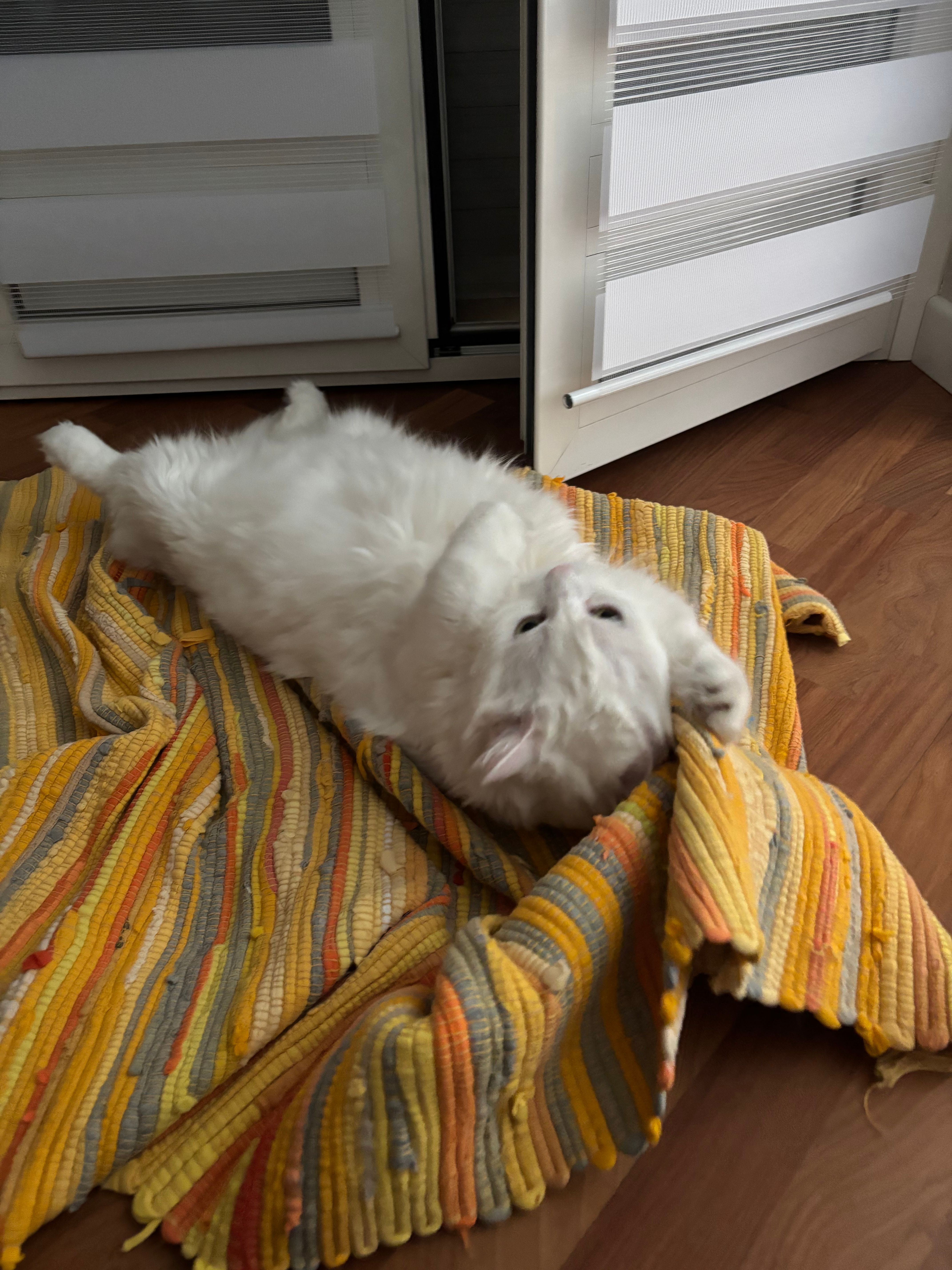 image-13