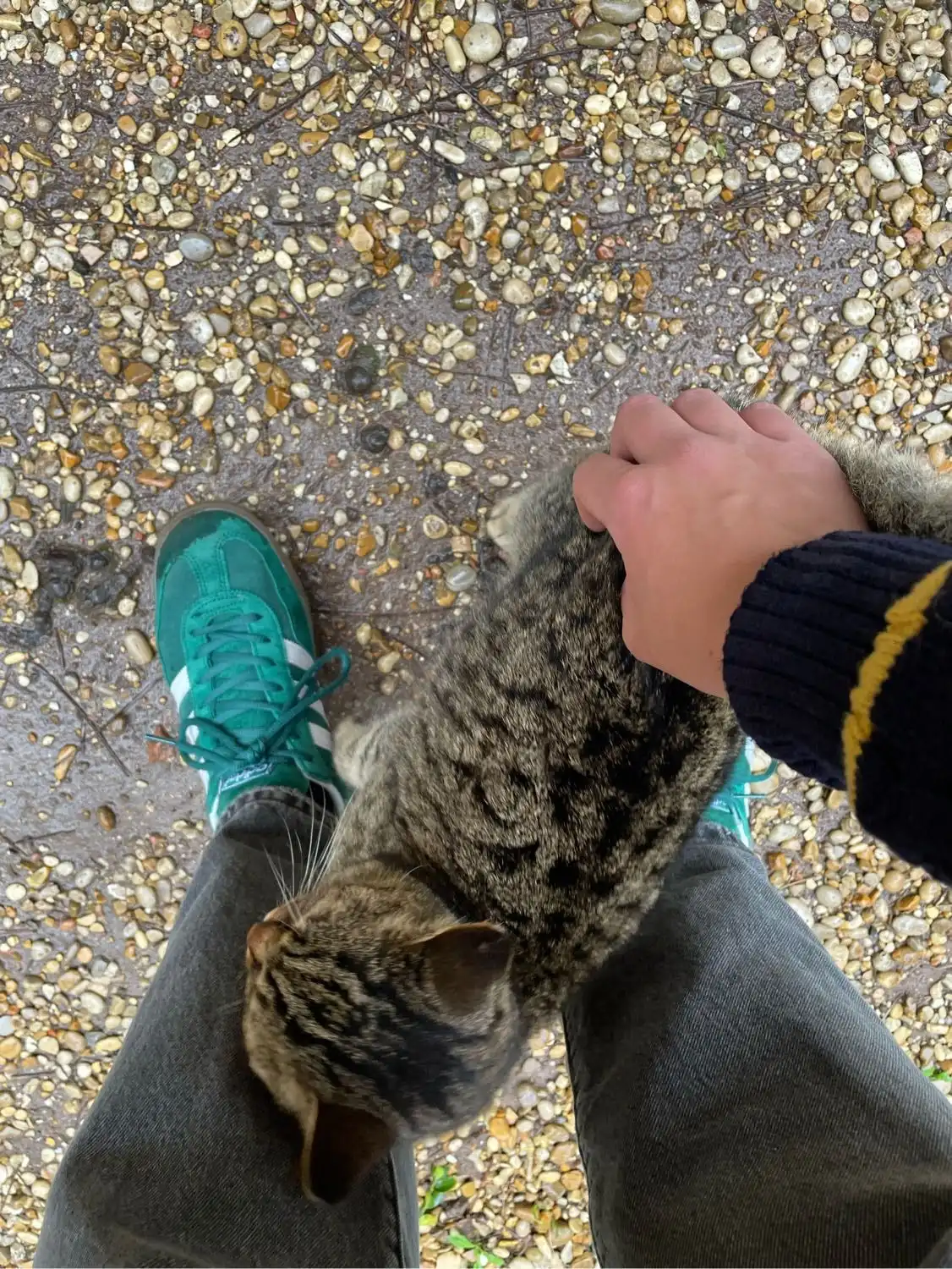 image-9