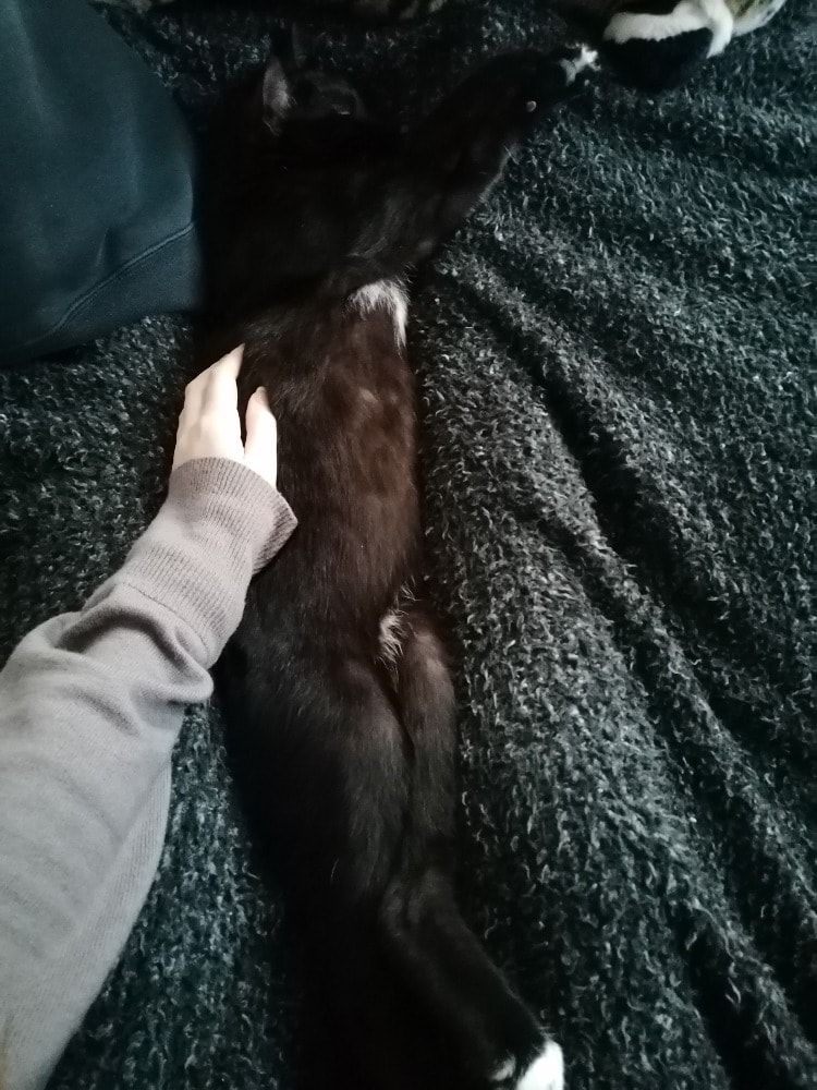 image-8