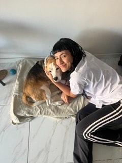 image-4