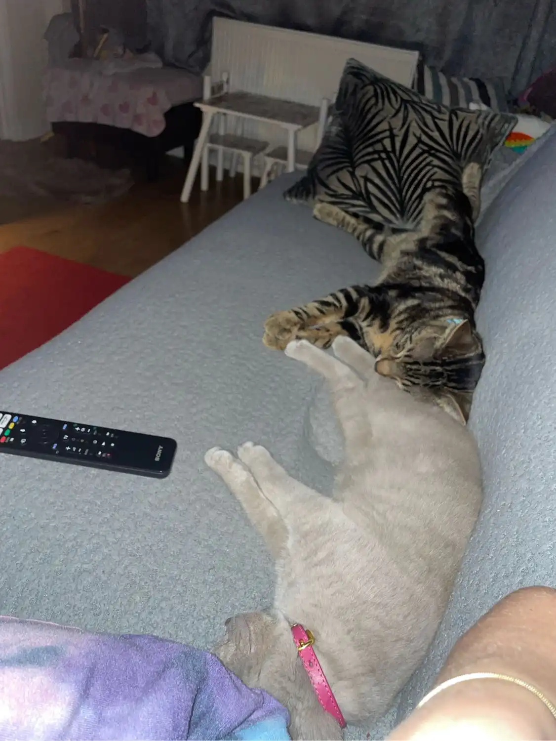image-31