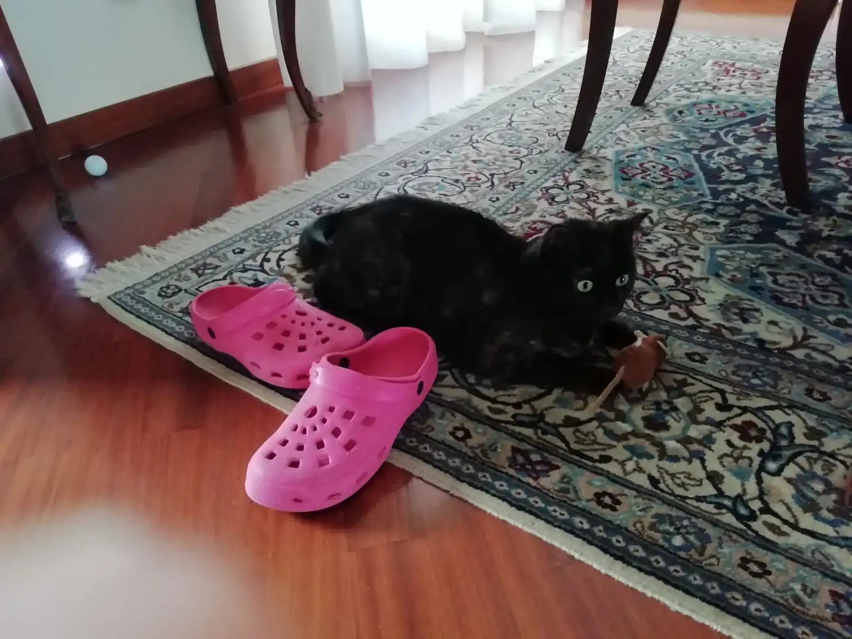 image-13
