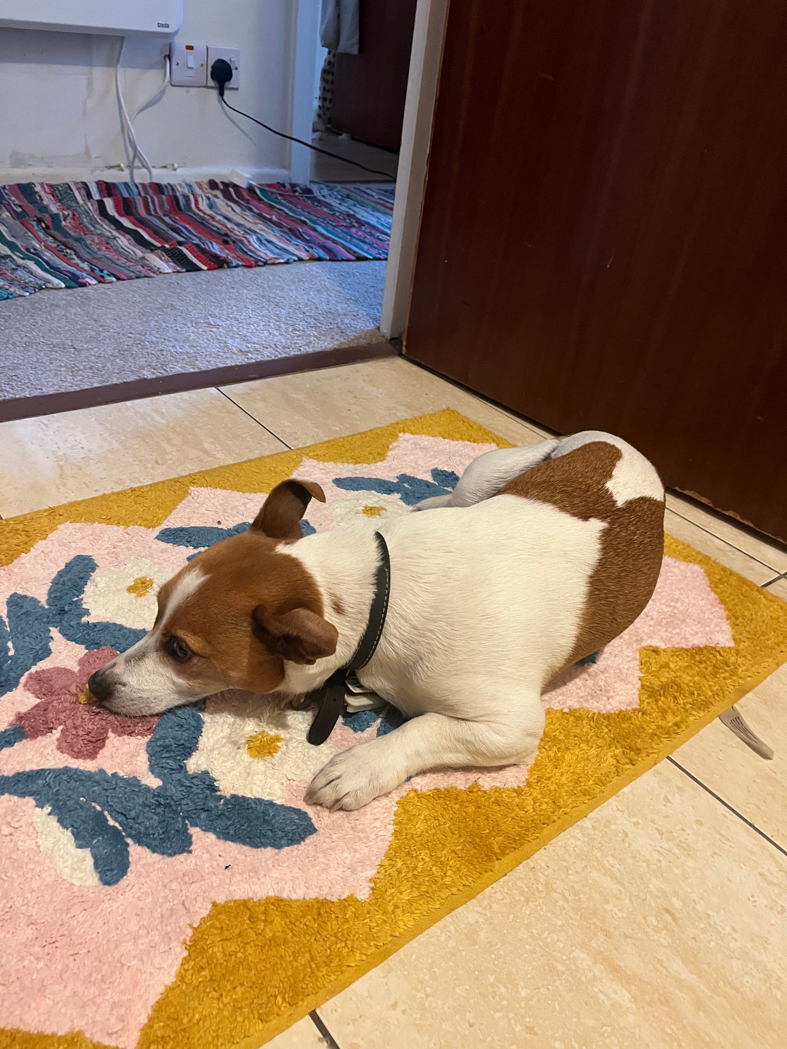 image-10