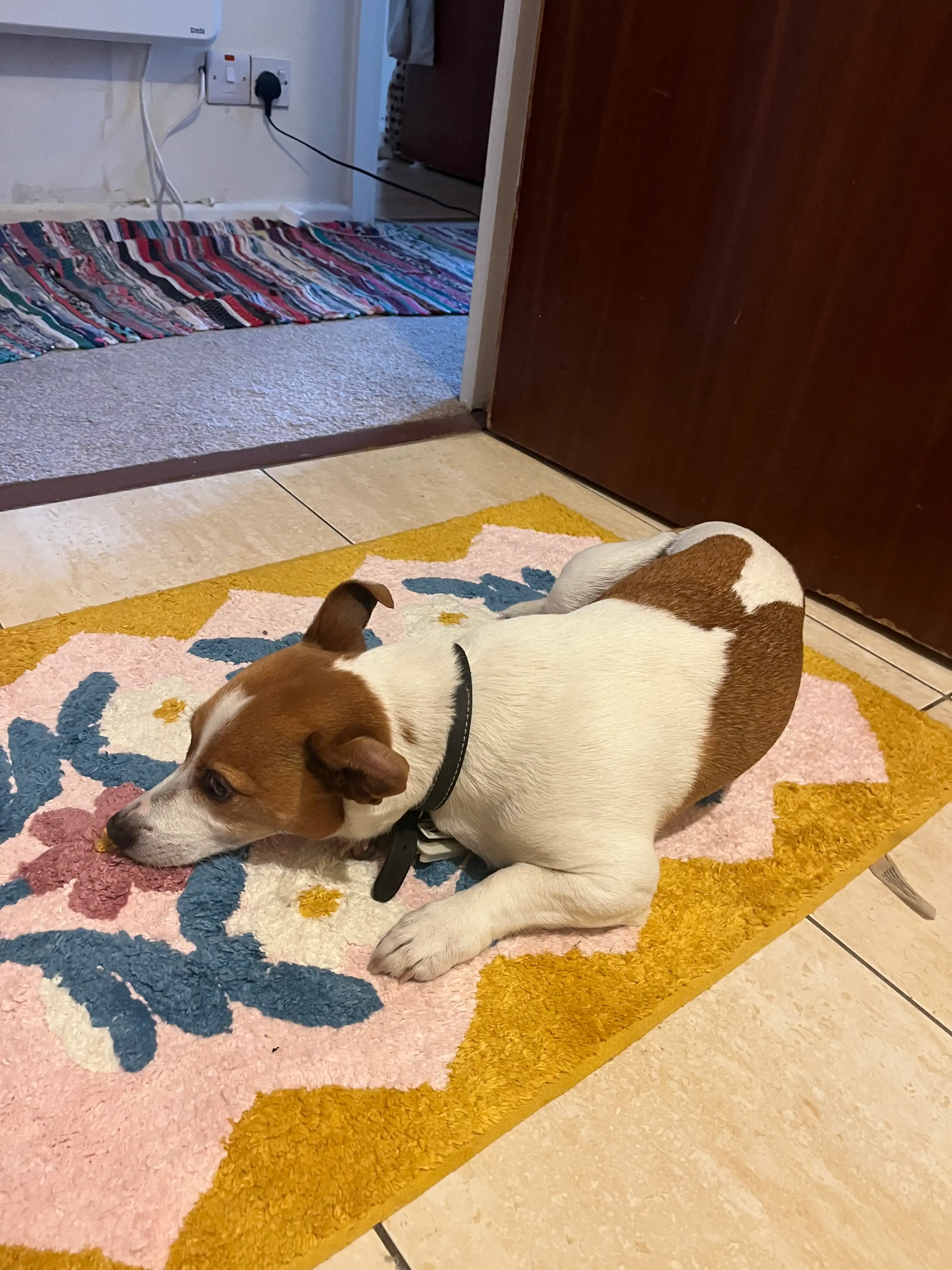 image-10