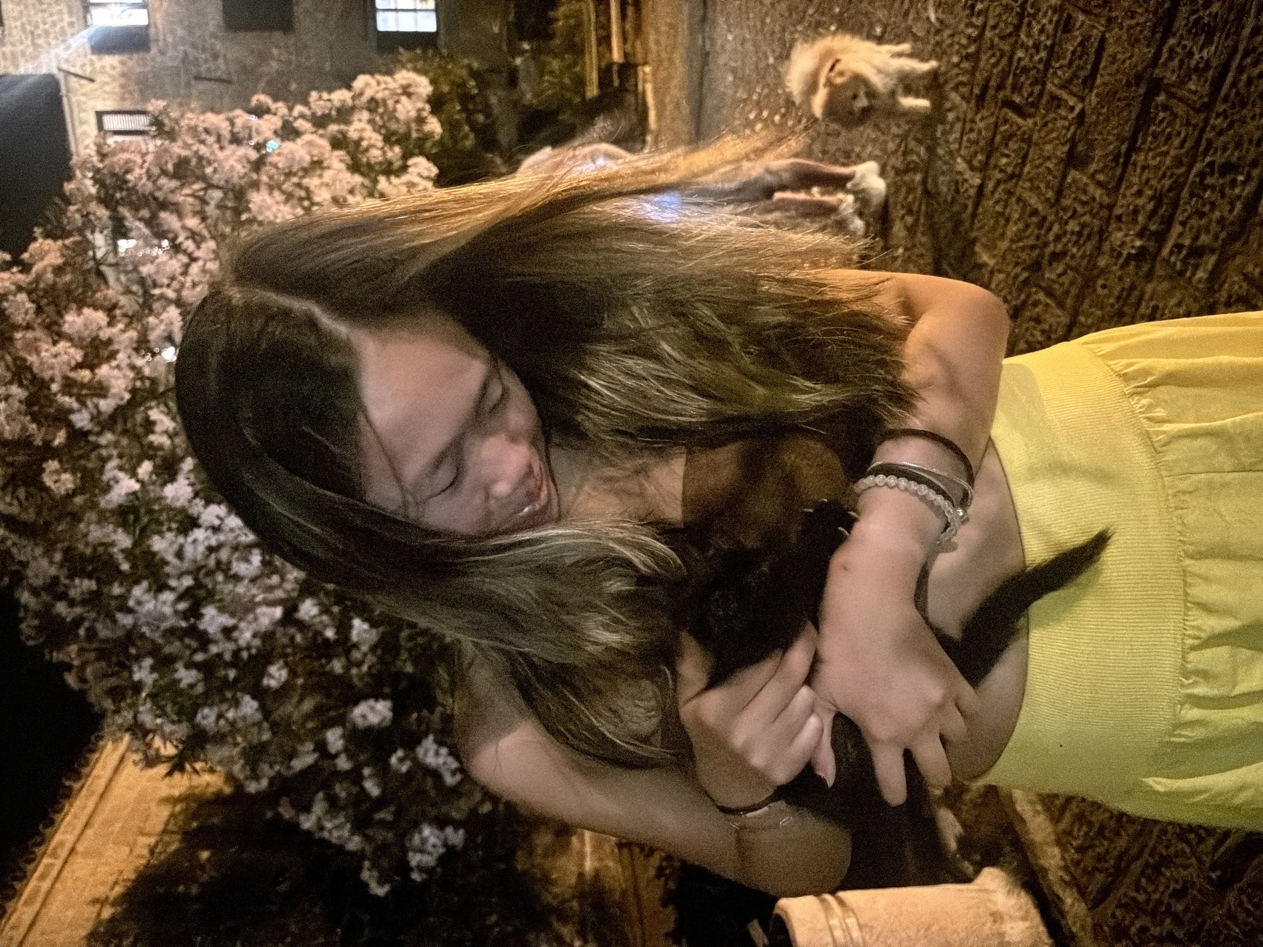 image-6