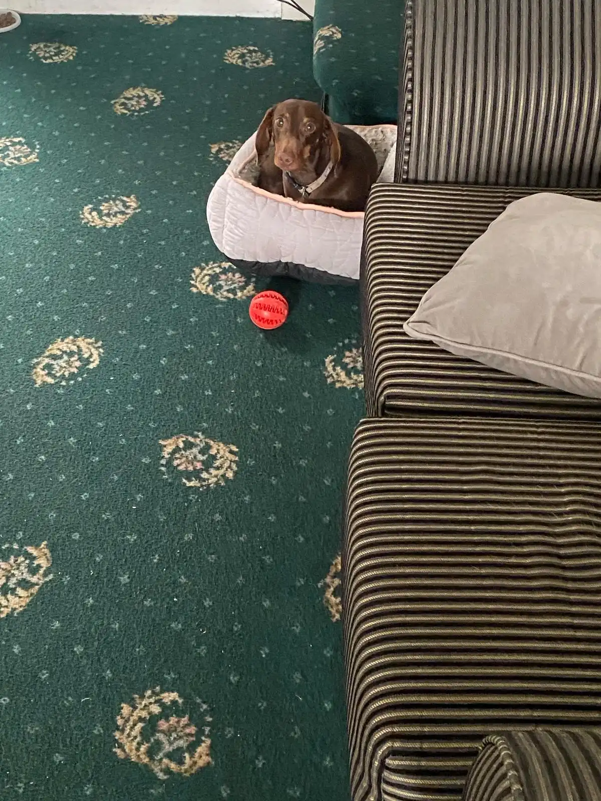 image-14
