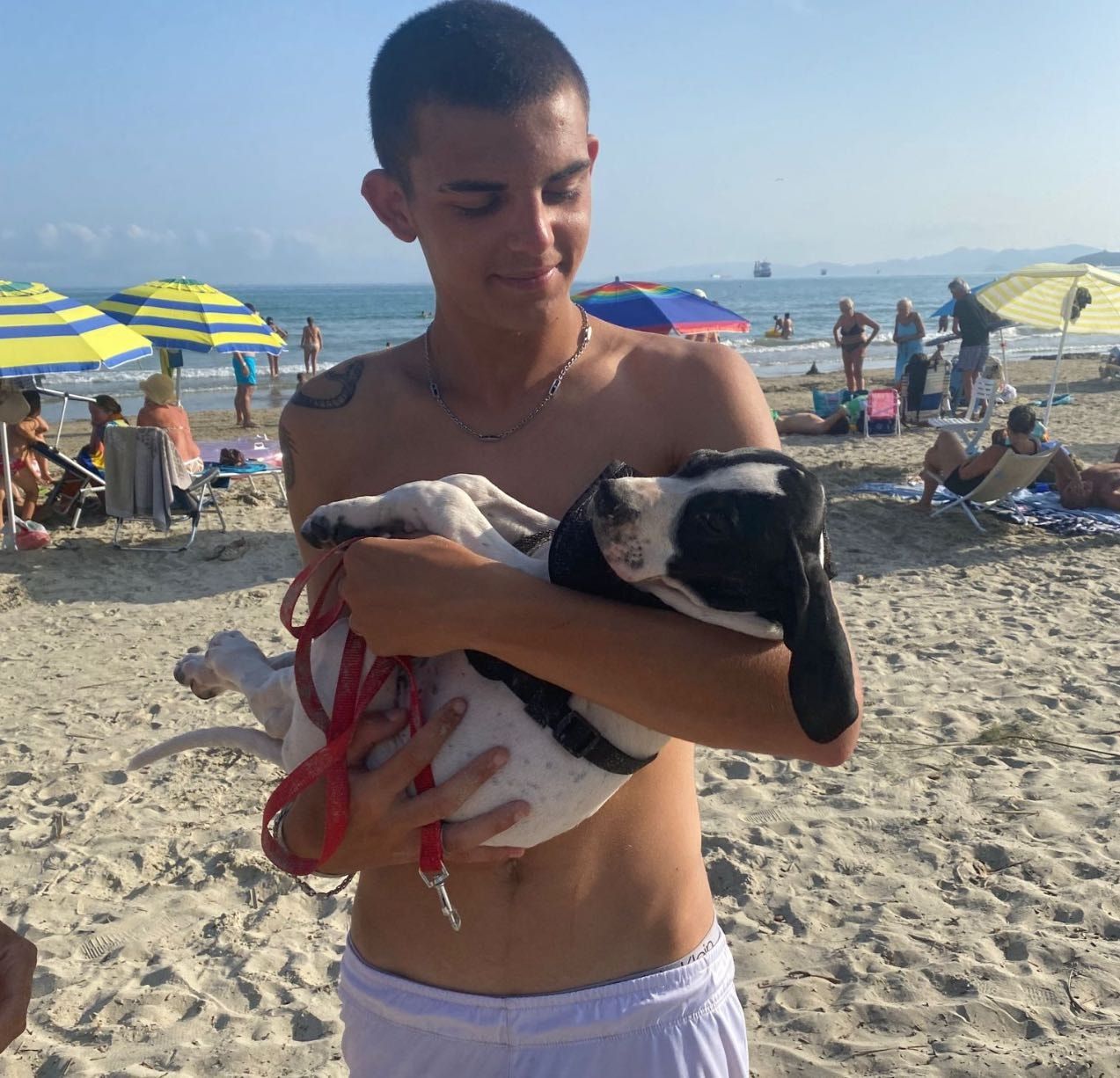 image-6