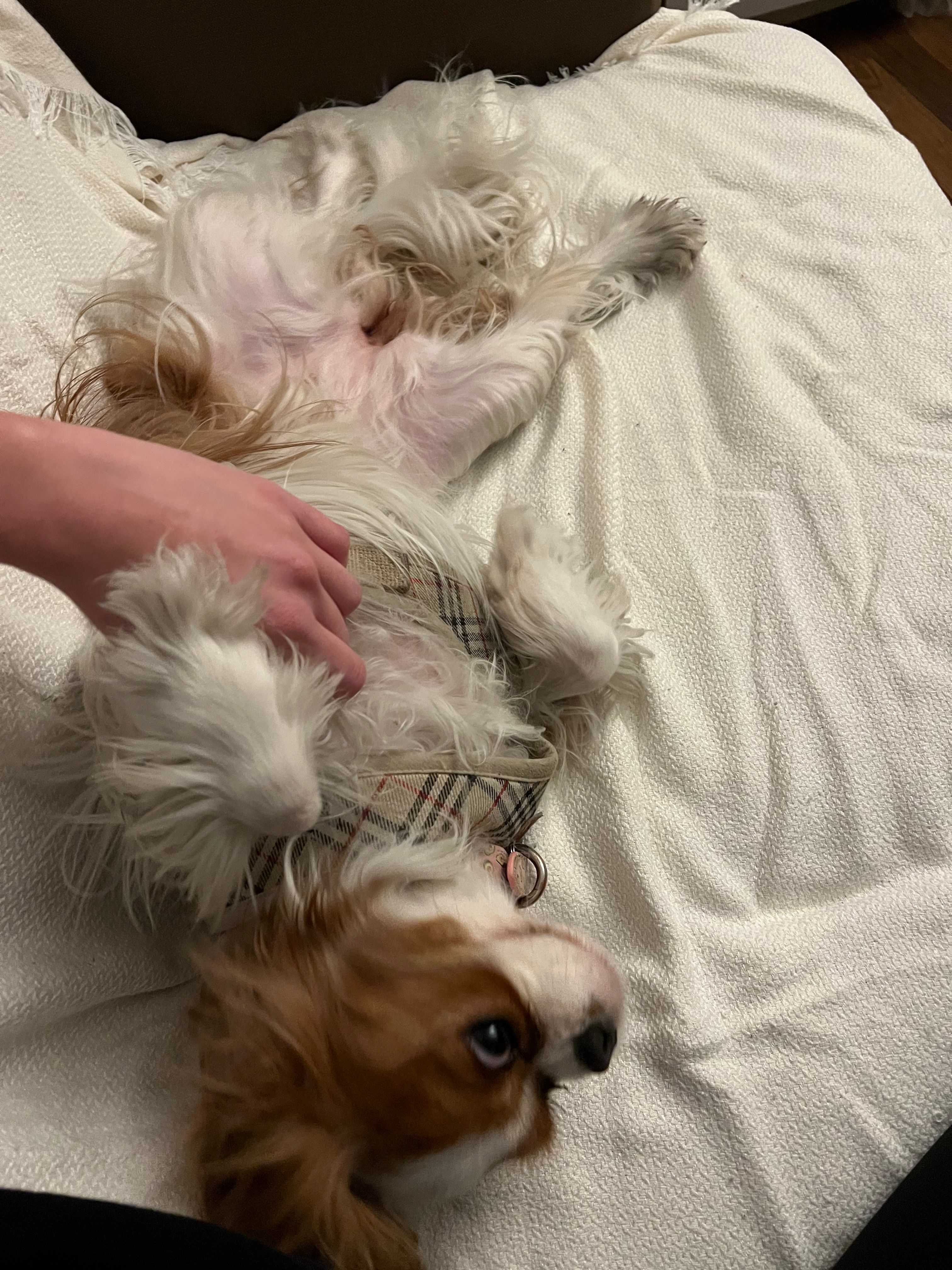 image-8