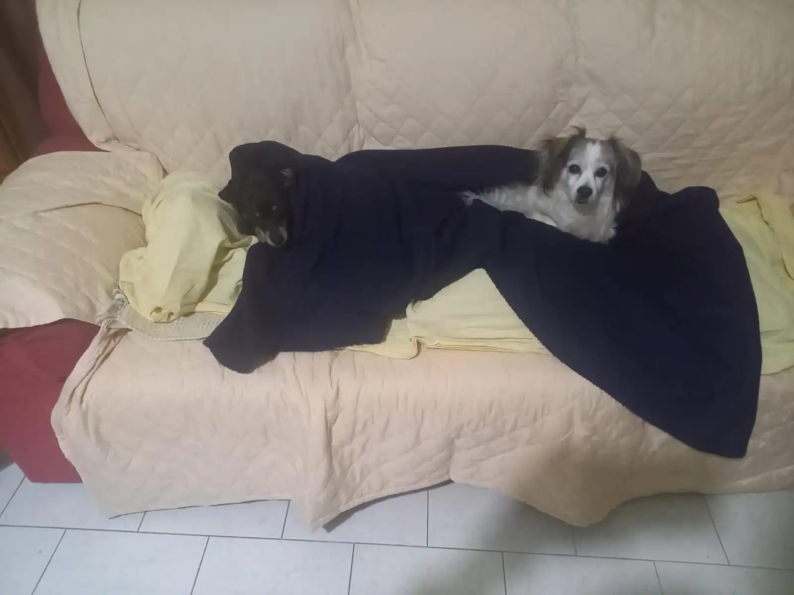 image-20