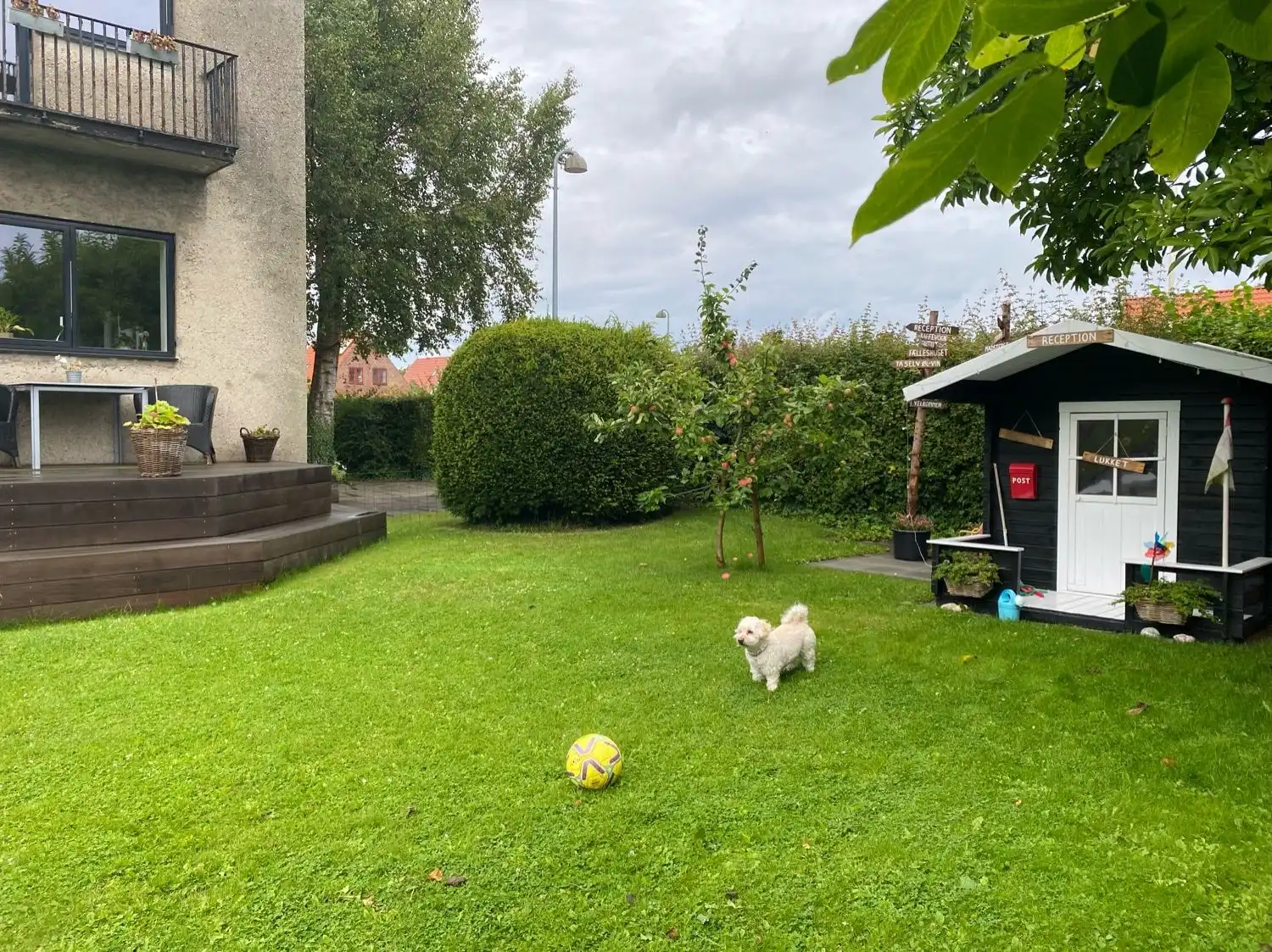 image-16