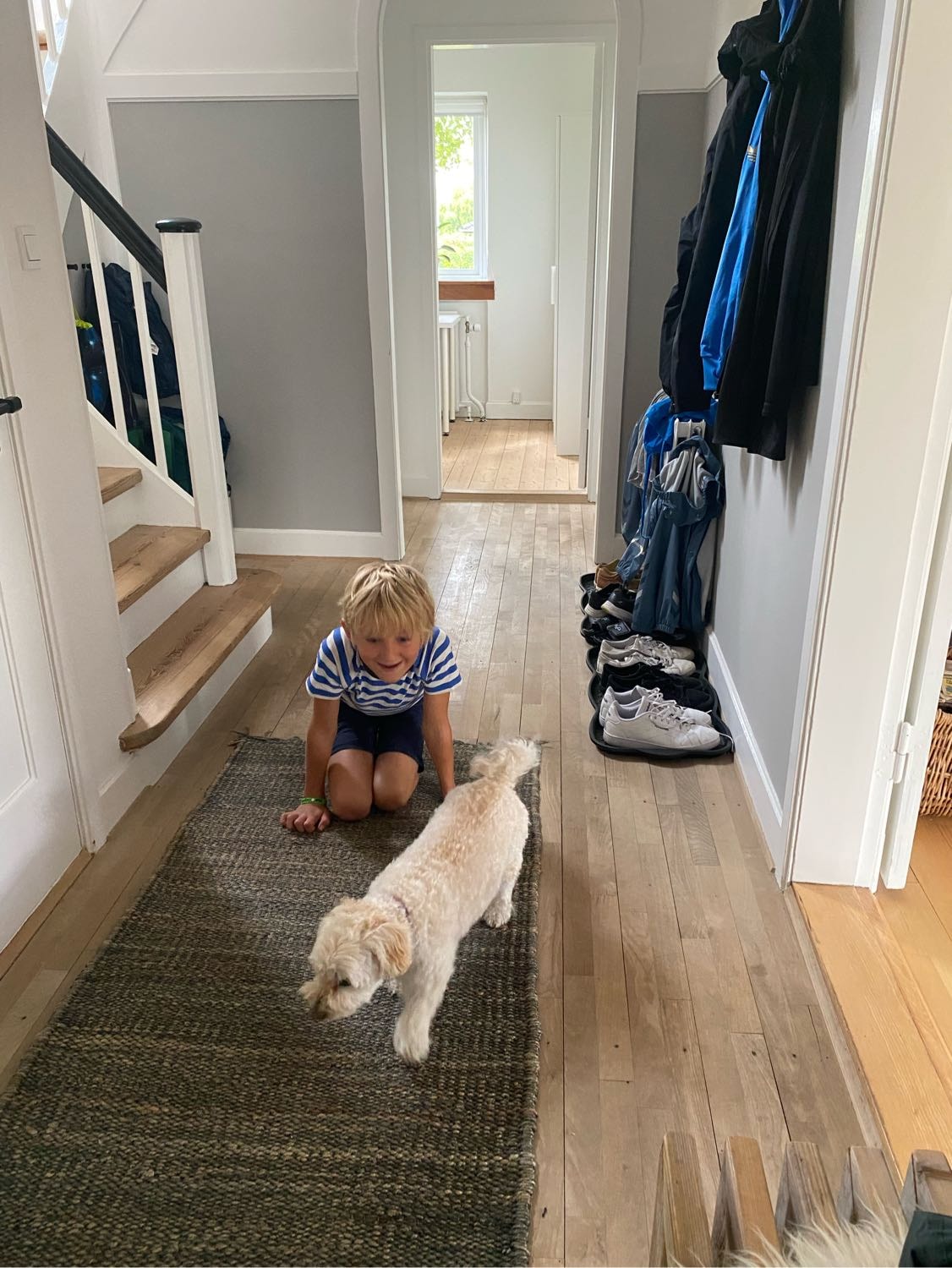image-13